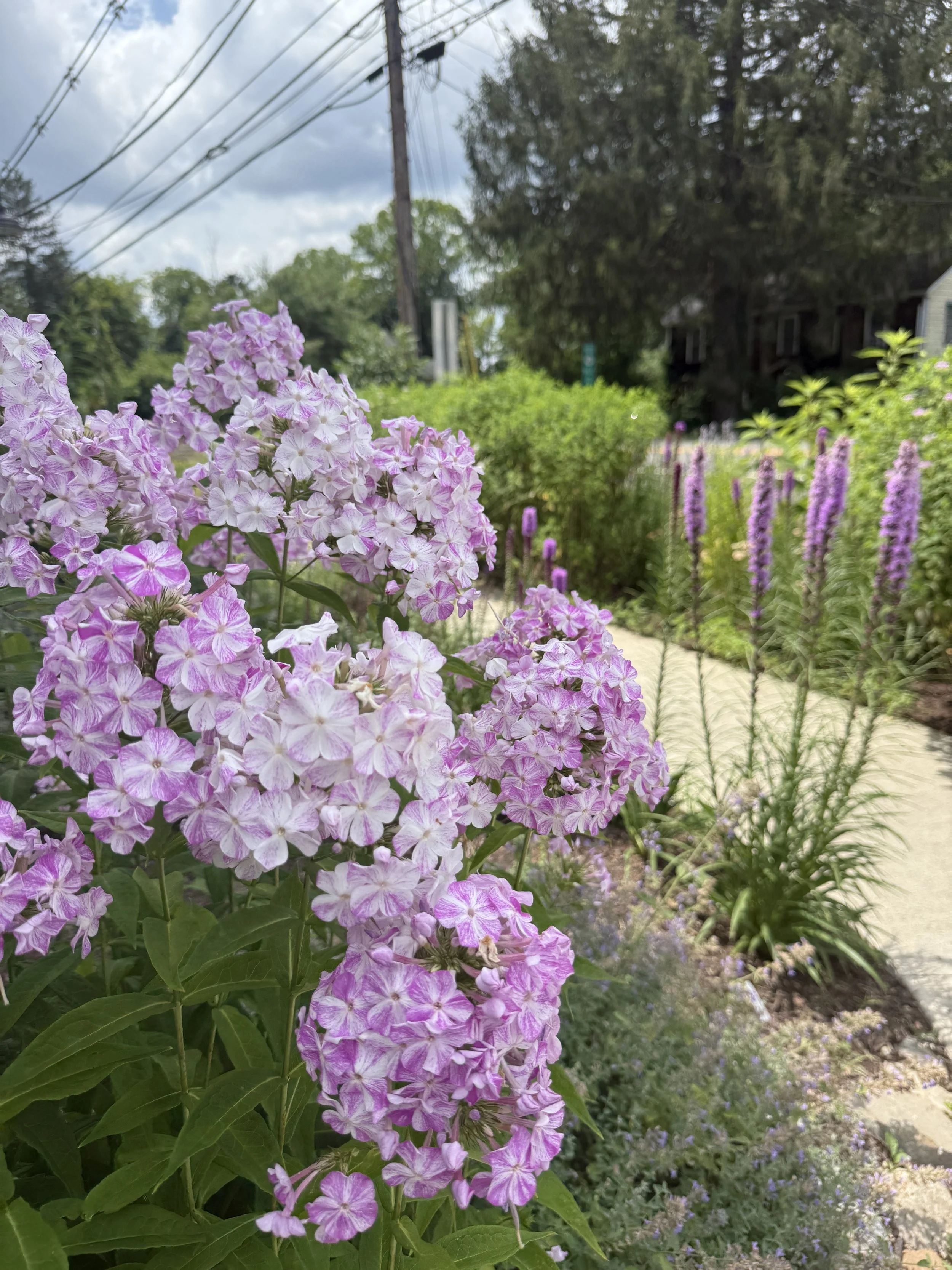 Building your Garden (from prep, to plan, to planting)