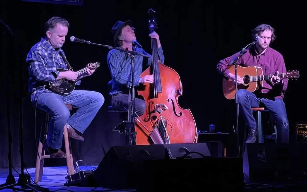 Joe Cirotti Trio on the Woodland Stage