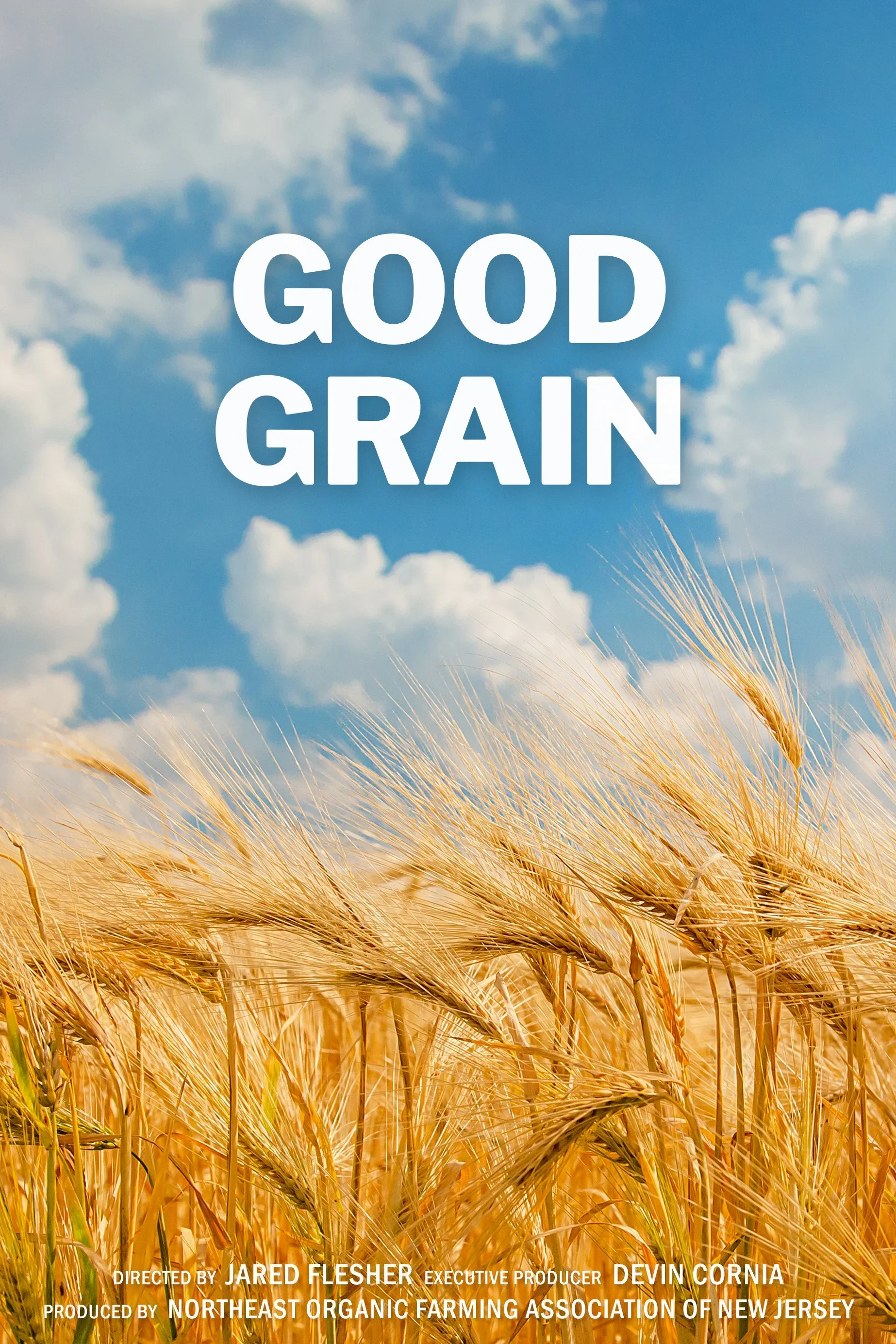Hundred Year Films : Good Grain