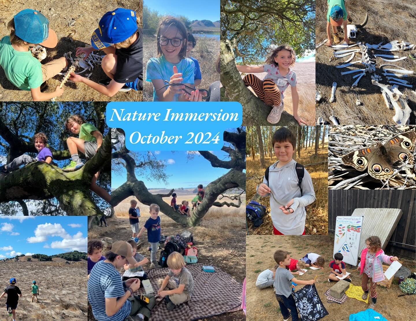We had a great kickoff to our nature immersion camp series. The campers enjoyed a beautiful day at Open Field Farm climbing Grandmother Oak, exploring the Eucalyptus Grove, wildlife tracking, making corn husk dolls, whittling going on an epic adventu