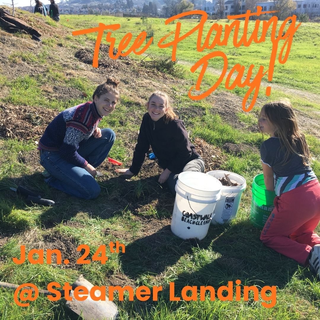 Tree Planting Day @ Steamer Landing Park