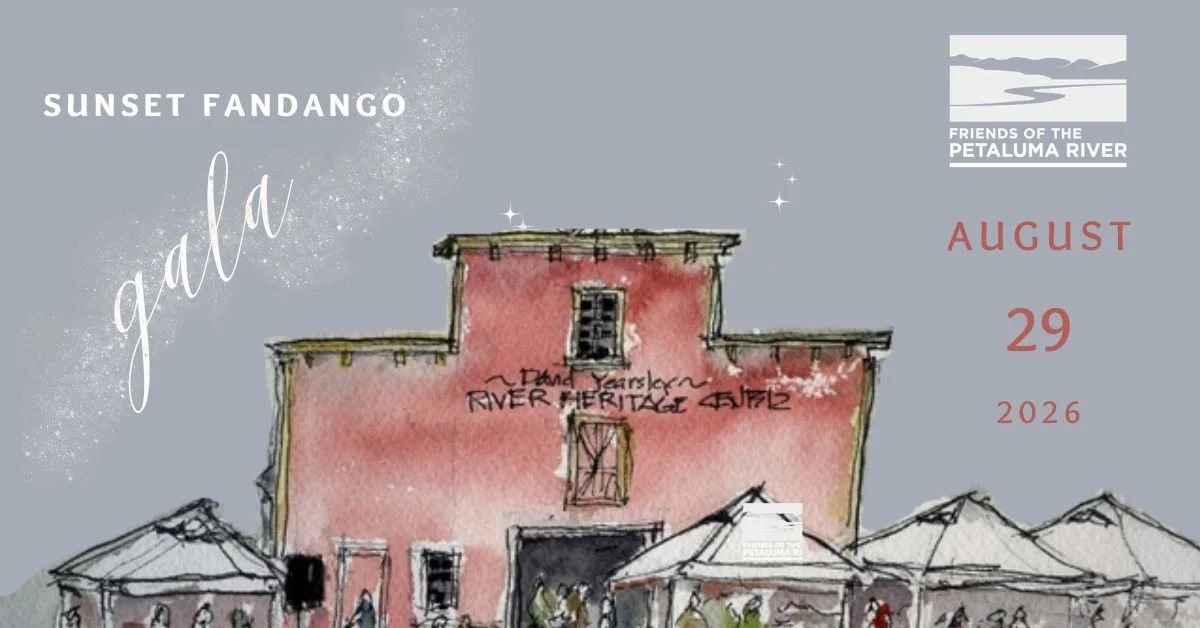 Sunset Fandango