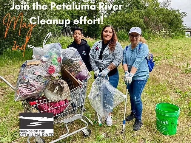 Fall Petaluma River Cleanup