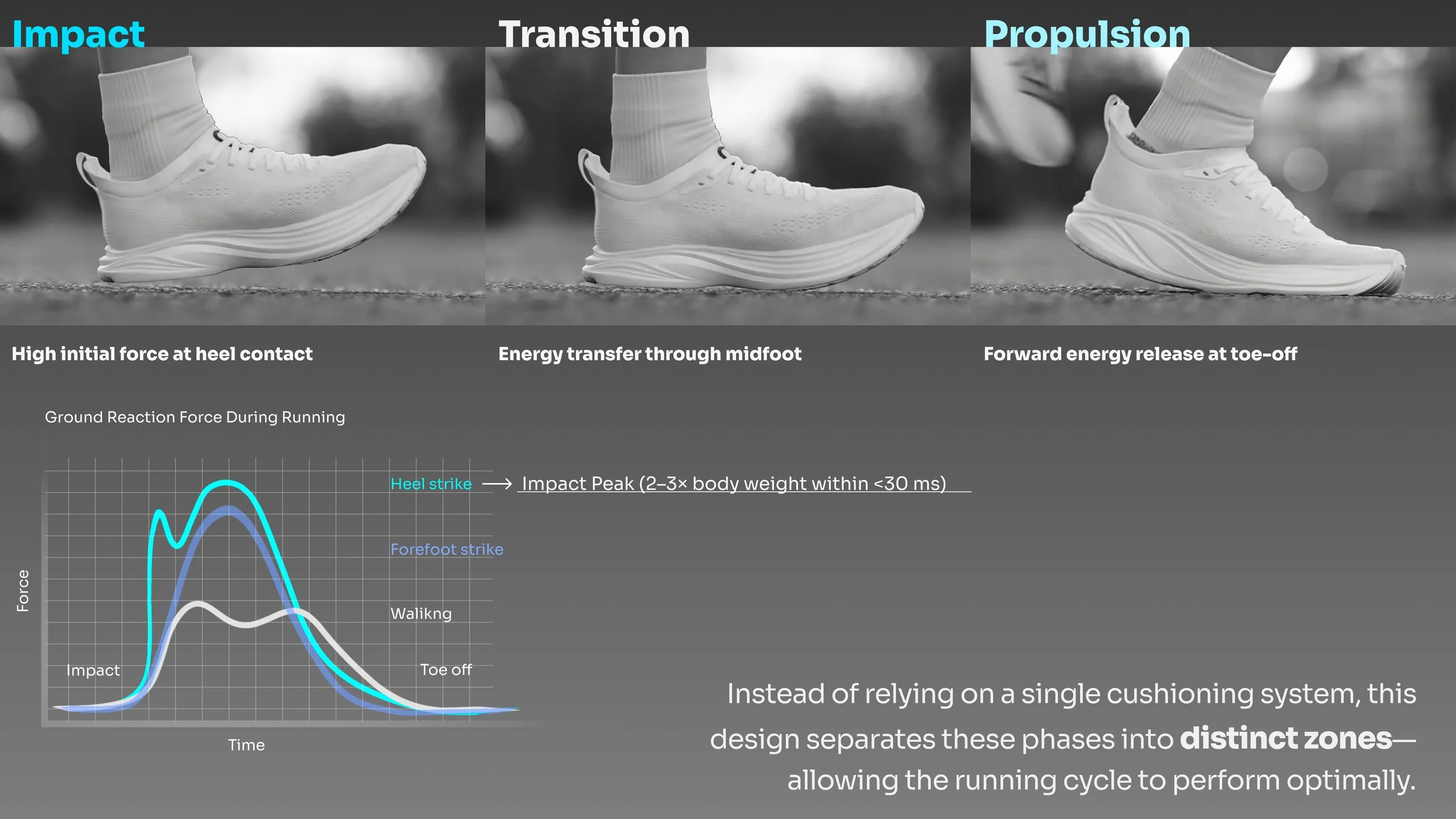 biomechanics insight (3).jpg