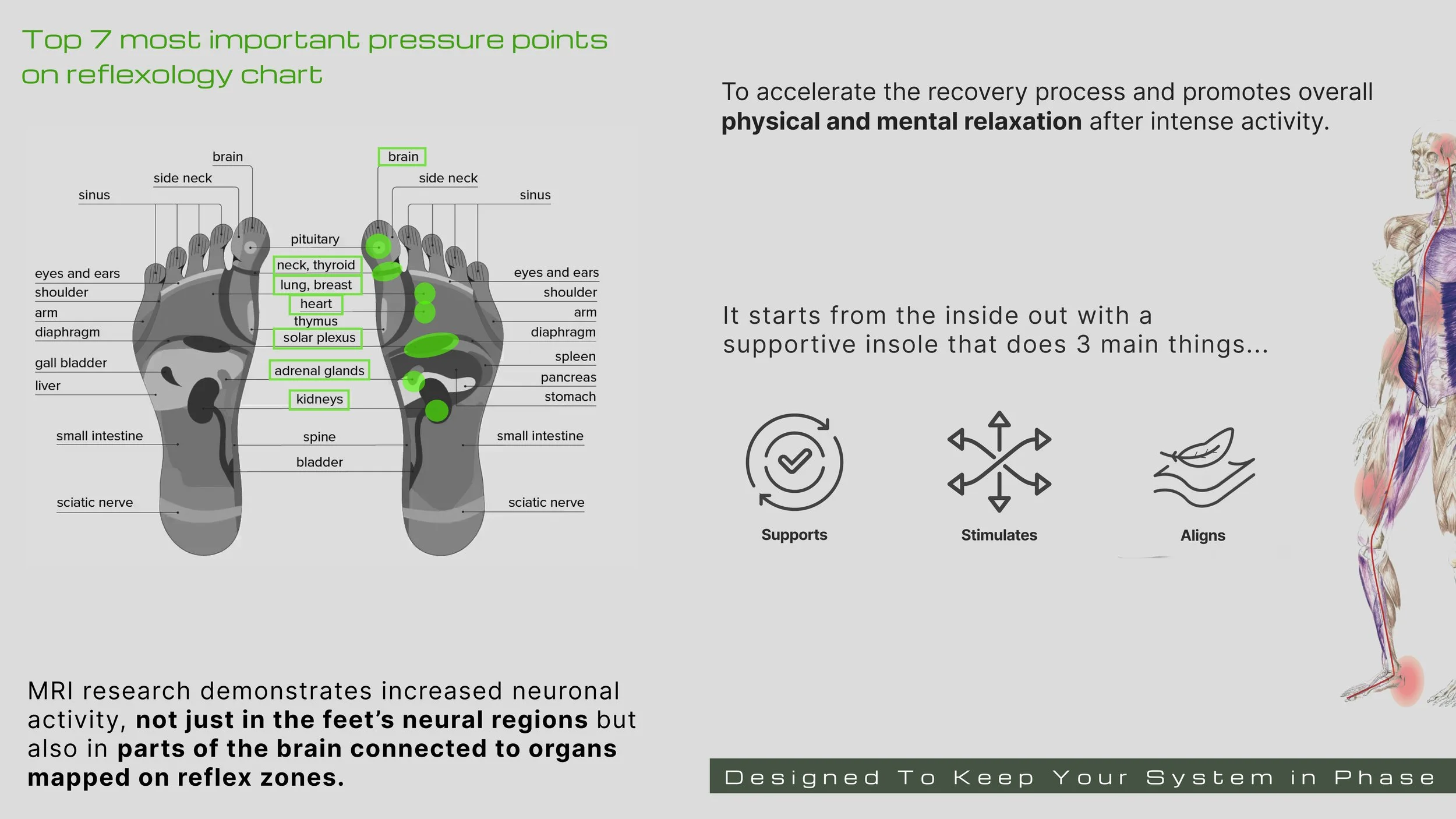 reflexology research.jpg
