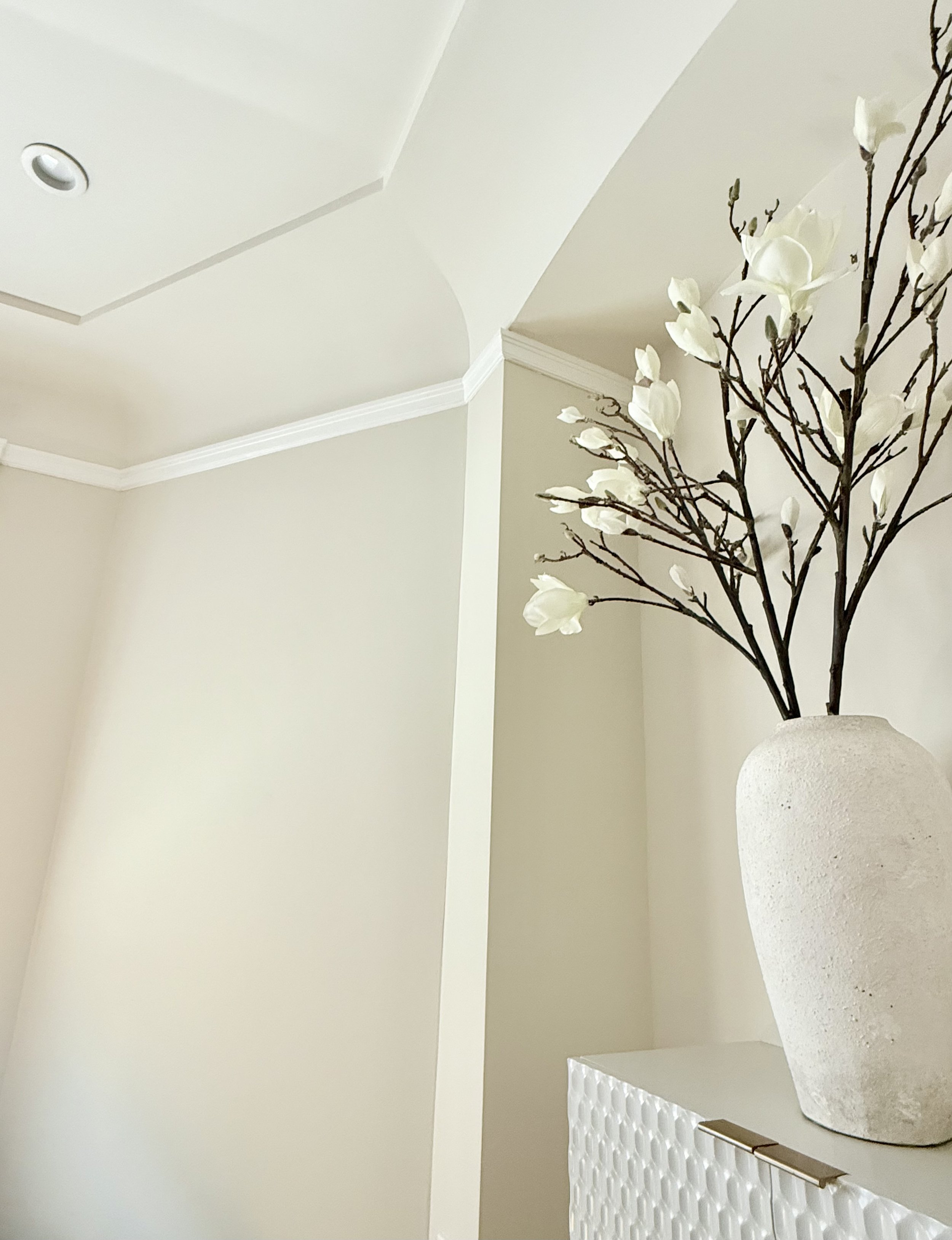 Preserving the Past While Building the Future: A Thoughtful Home Remodel in San Francisco