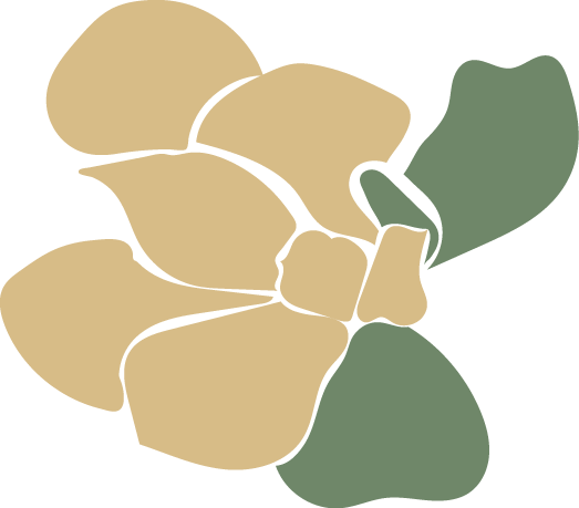 Illustration of a butterfly with green and beige wings.