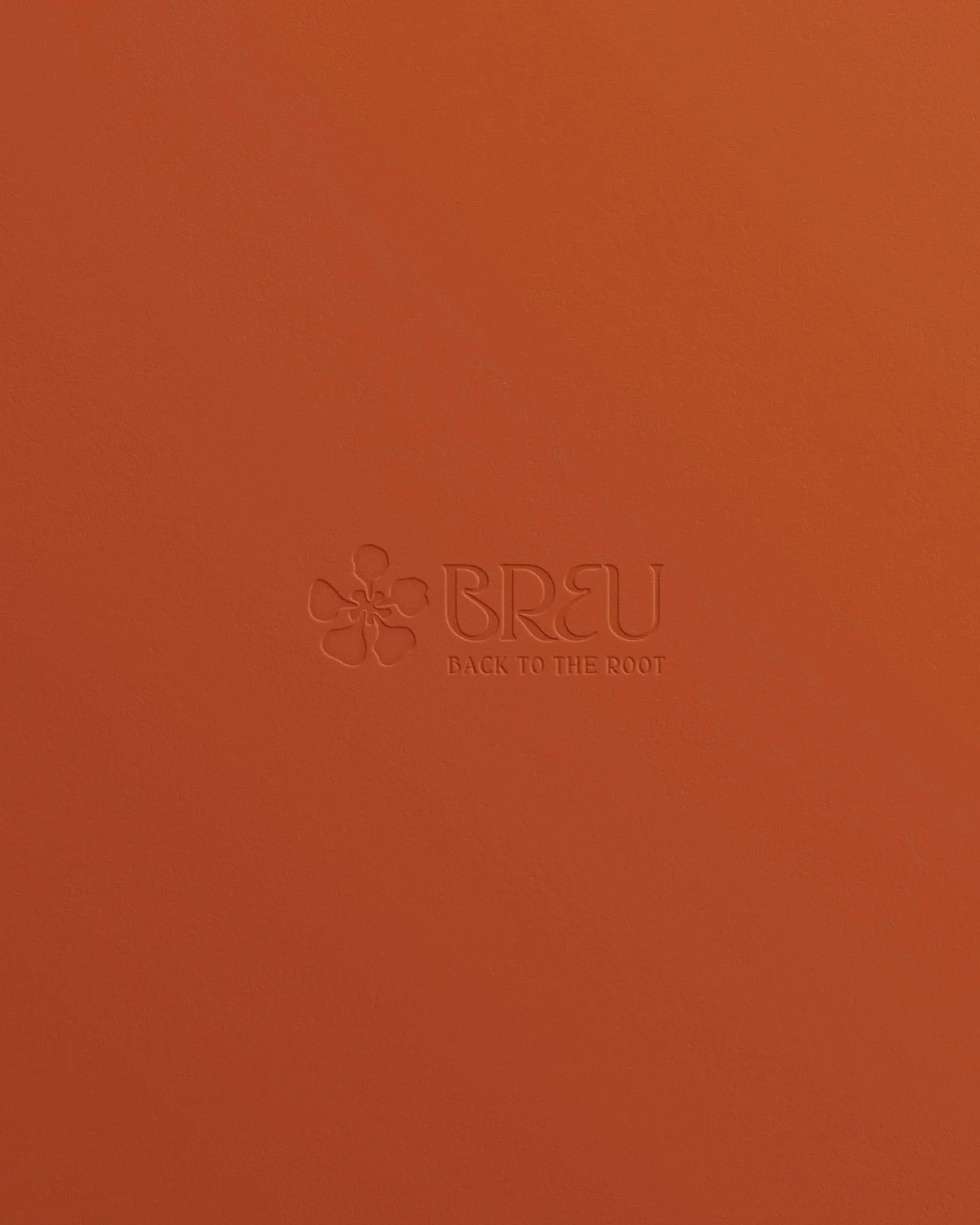 breu_instagram_08.jpg