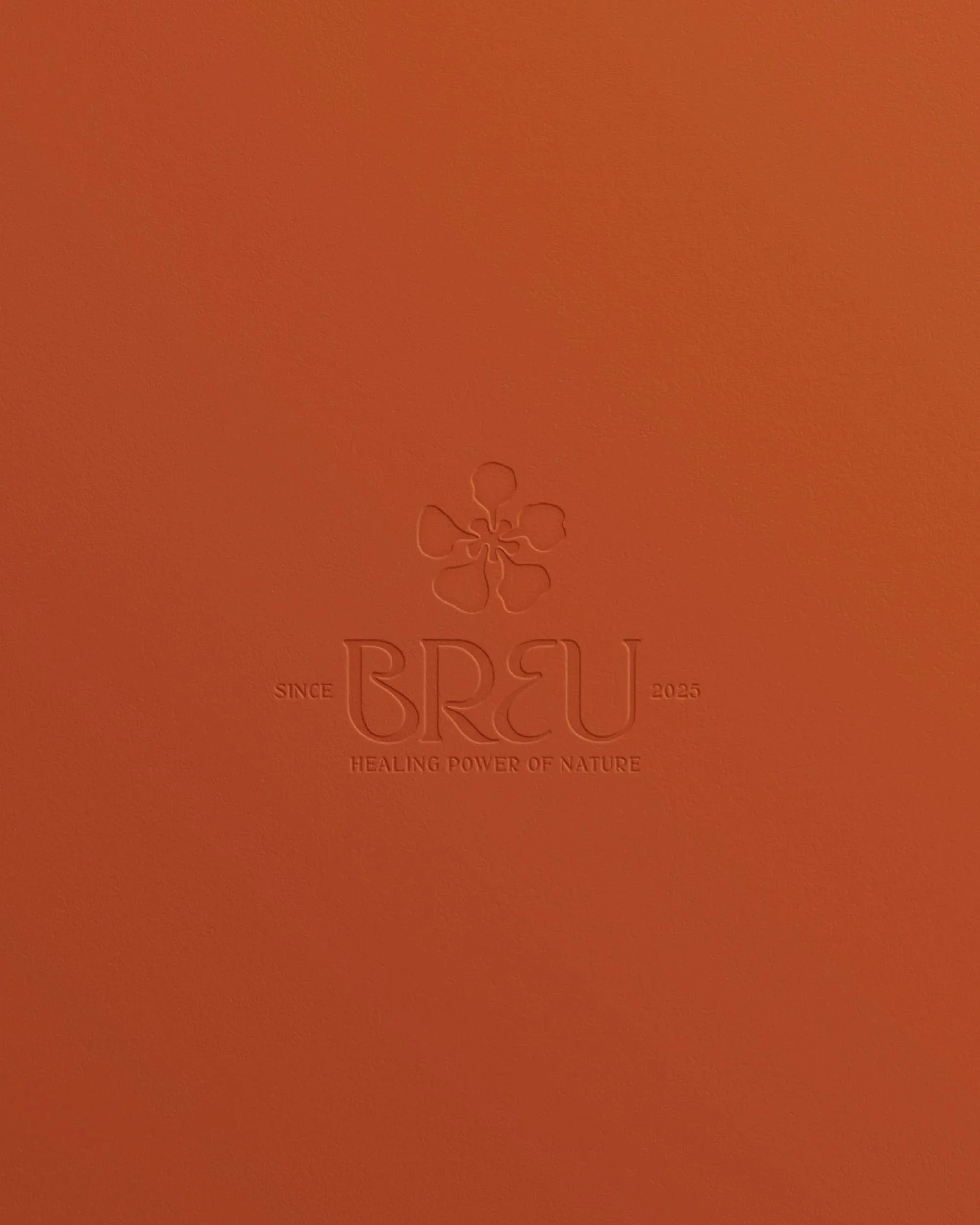 breu_instagram-04.jpg