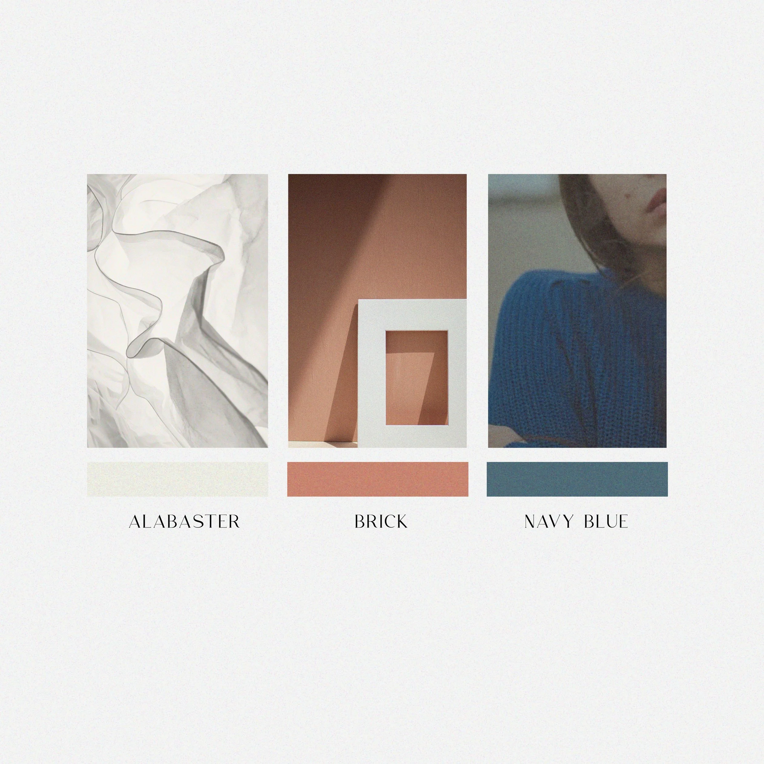 Color palette with three color samples: Alabaster, Brick, Navy Blue. Each sample has an associated image: crumpled white paper for Alabaster, a geometric frame against a brick-colored wall for Brick, and a woman wearing a navy blue sweater for Navy B