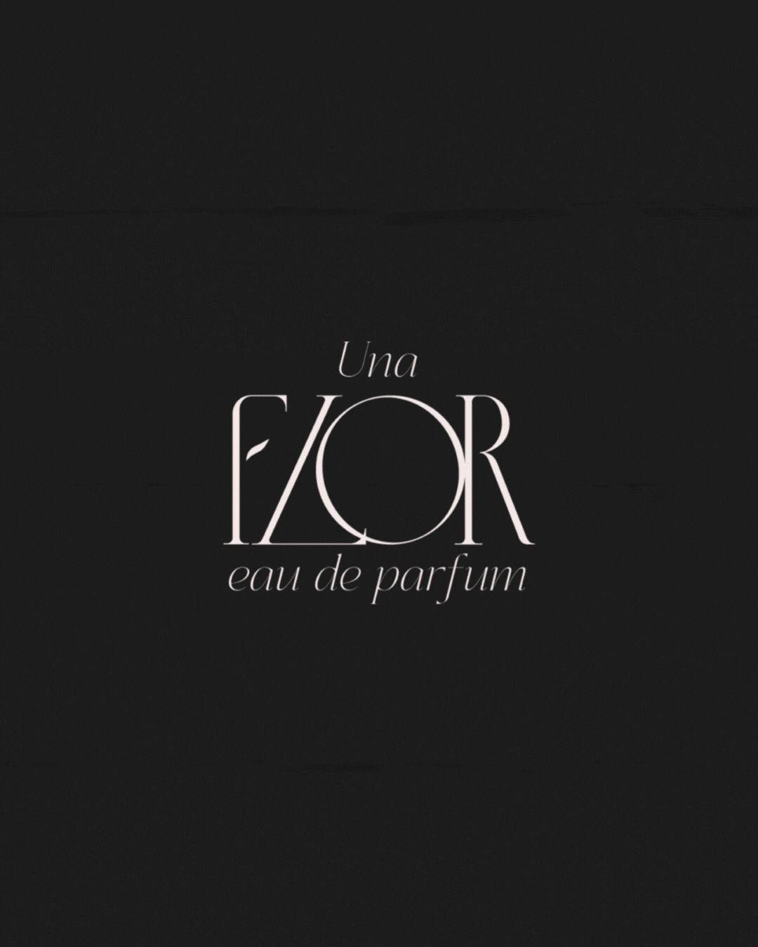 canva.gif