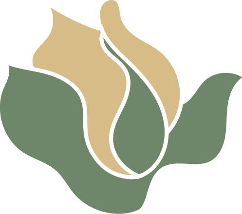 Stylized illustration of a flower with green leaves and beige petals