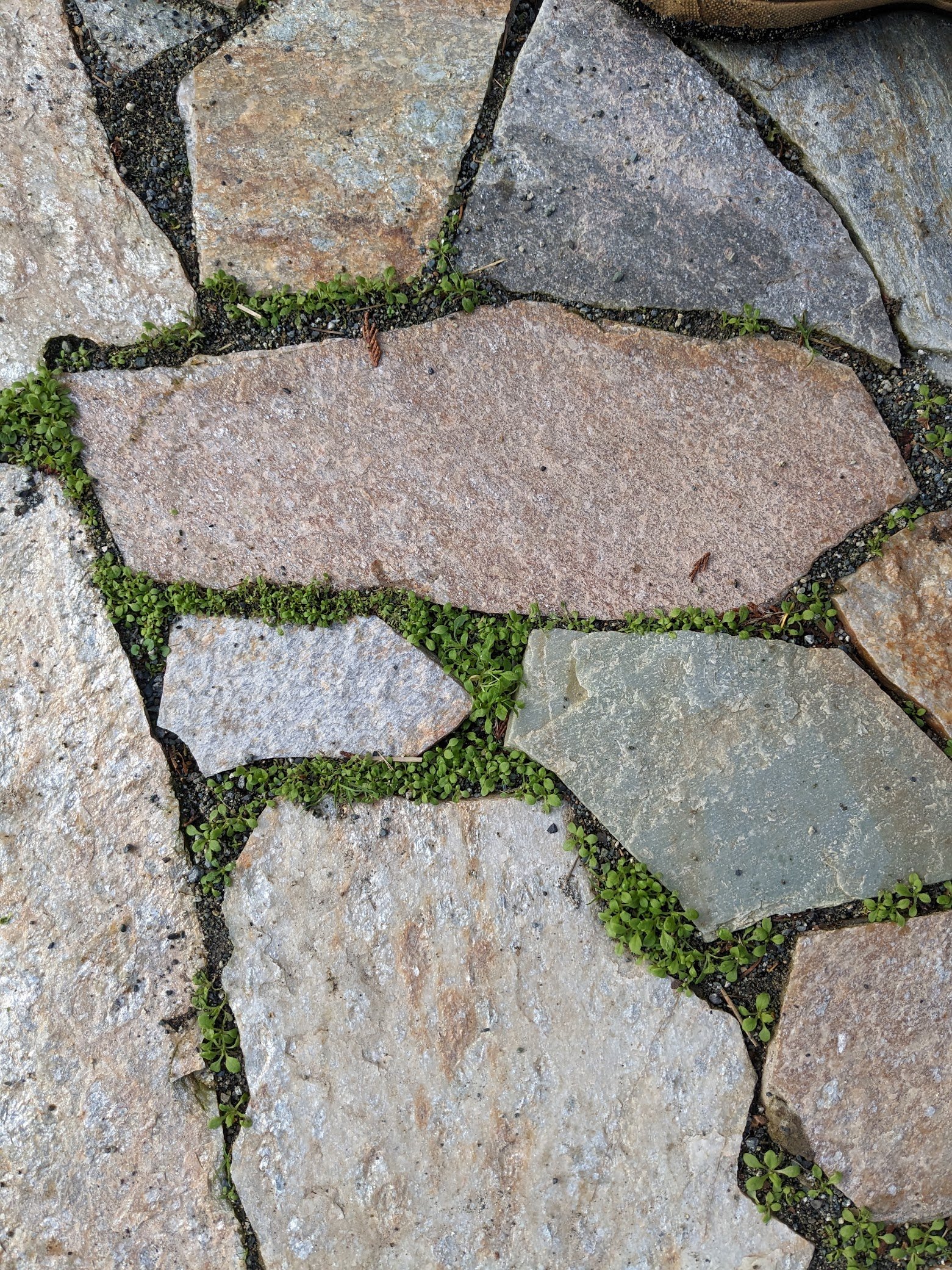 flagstone.jpeg
