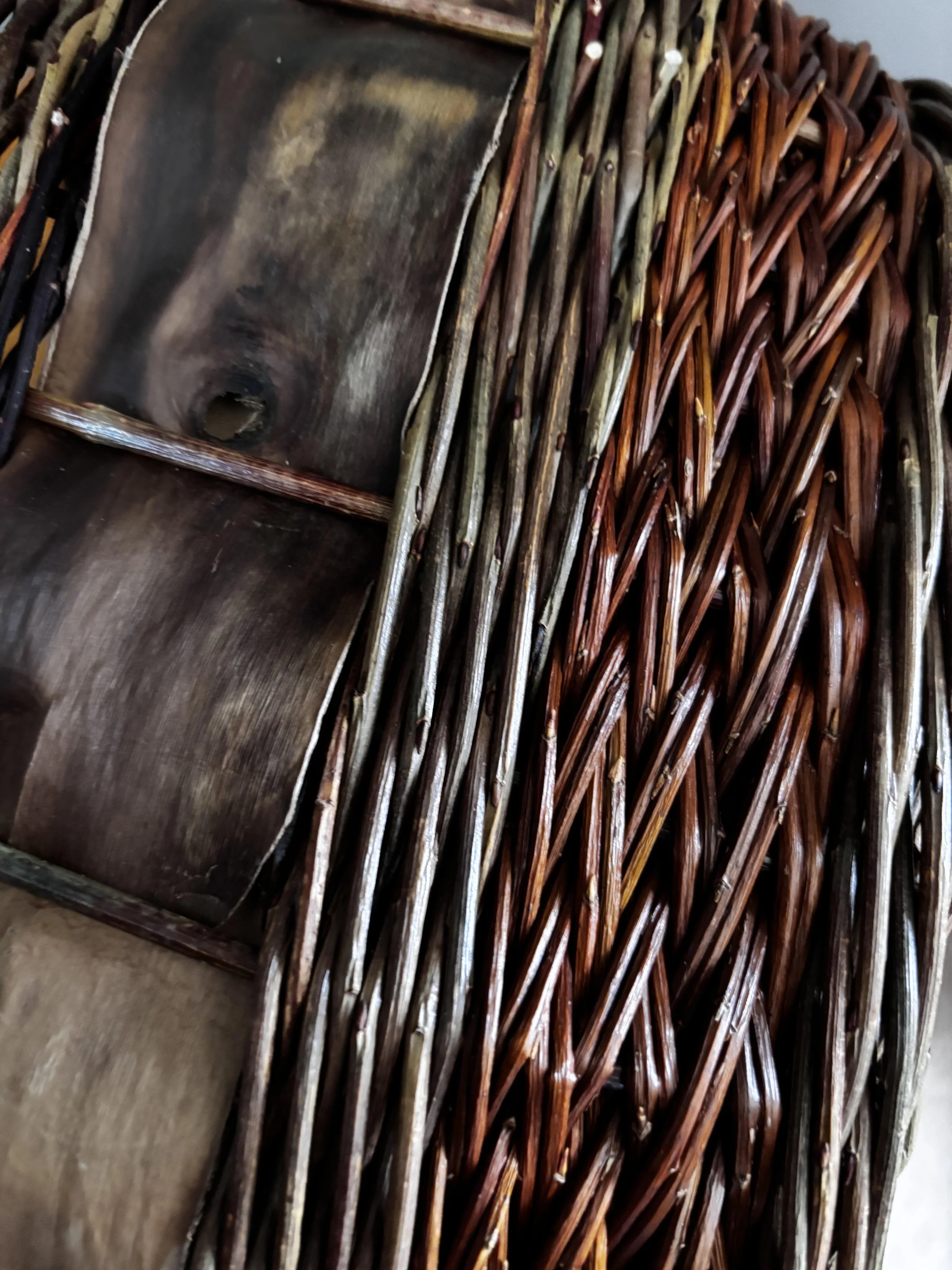 SALIX bag close up.jpg