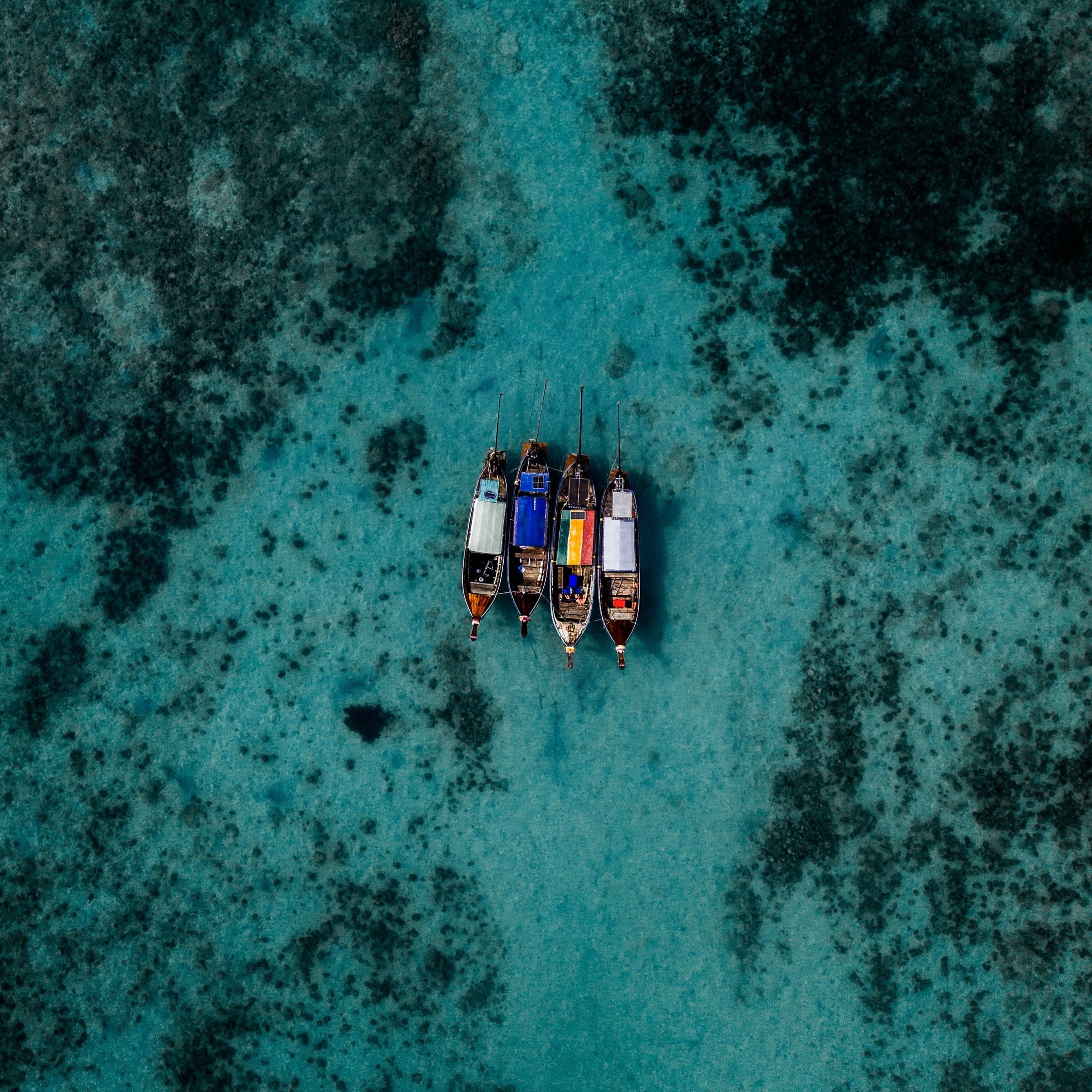 PROTECT OUR OCEANS.