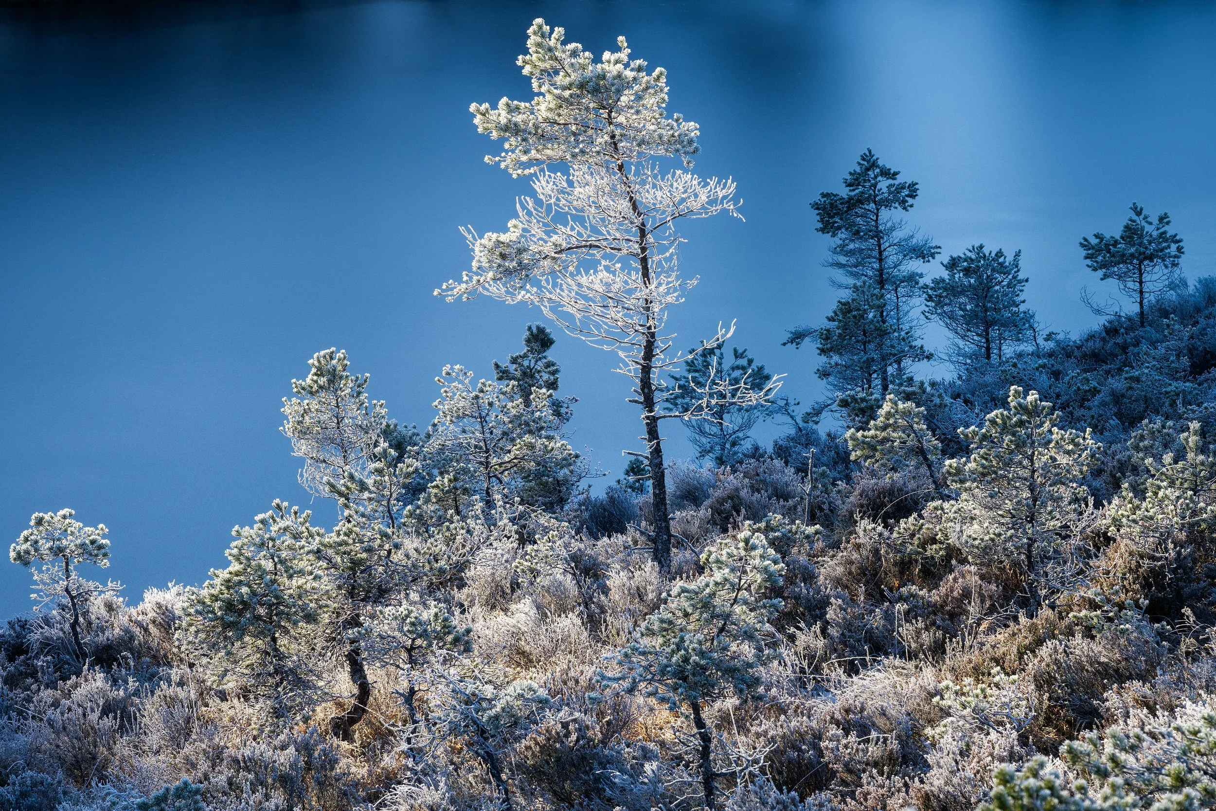 New Year - New Beginnings