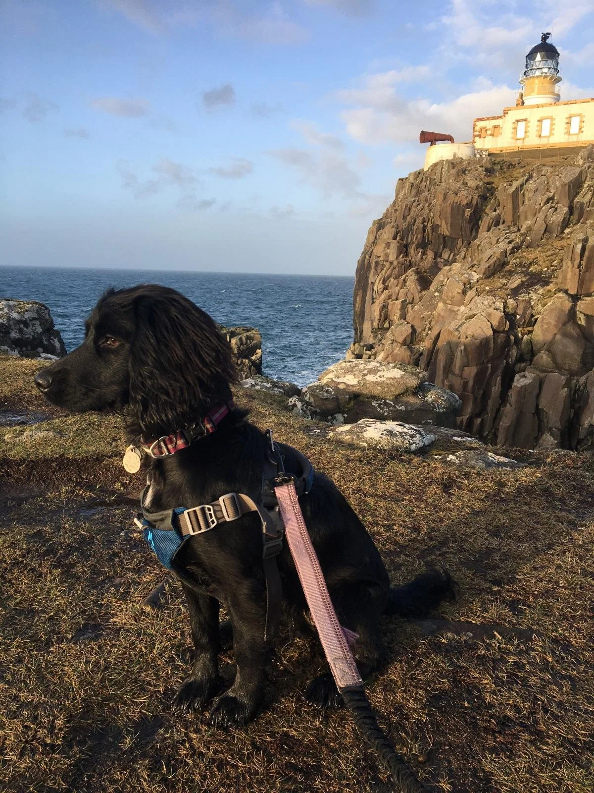 WhatsApp Image 2026-02-21 at 10.52.15.jpeg