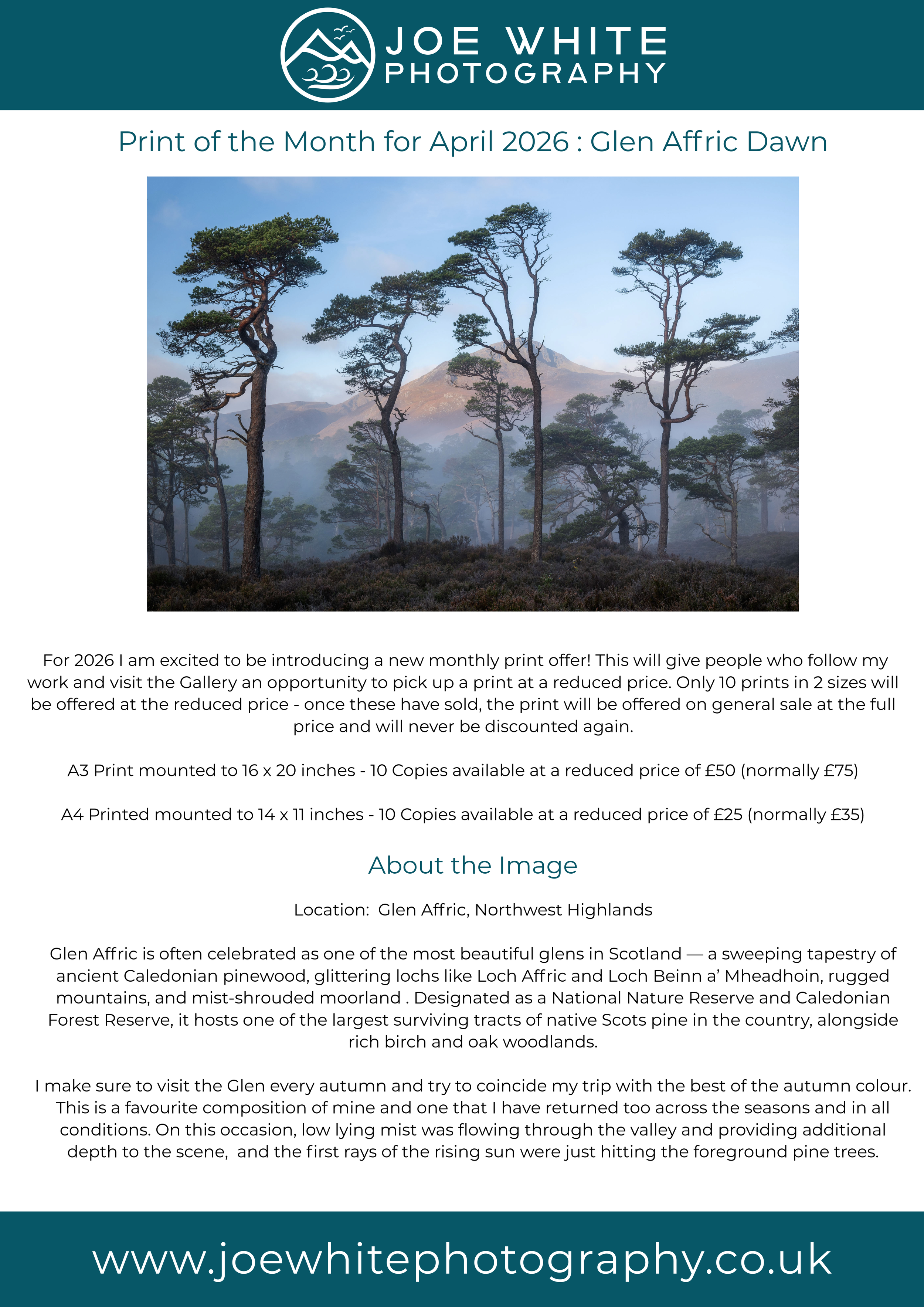 Print of the Month.png