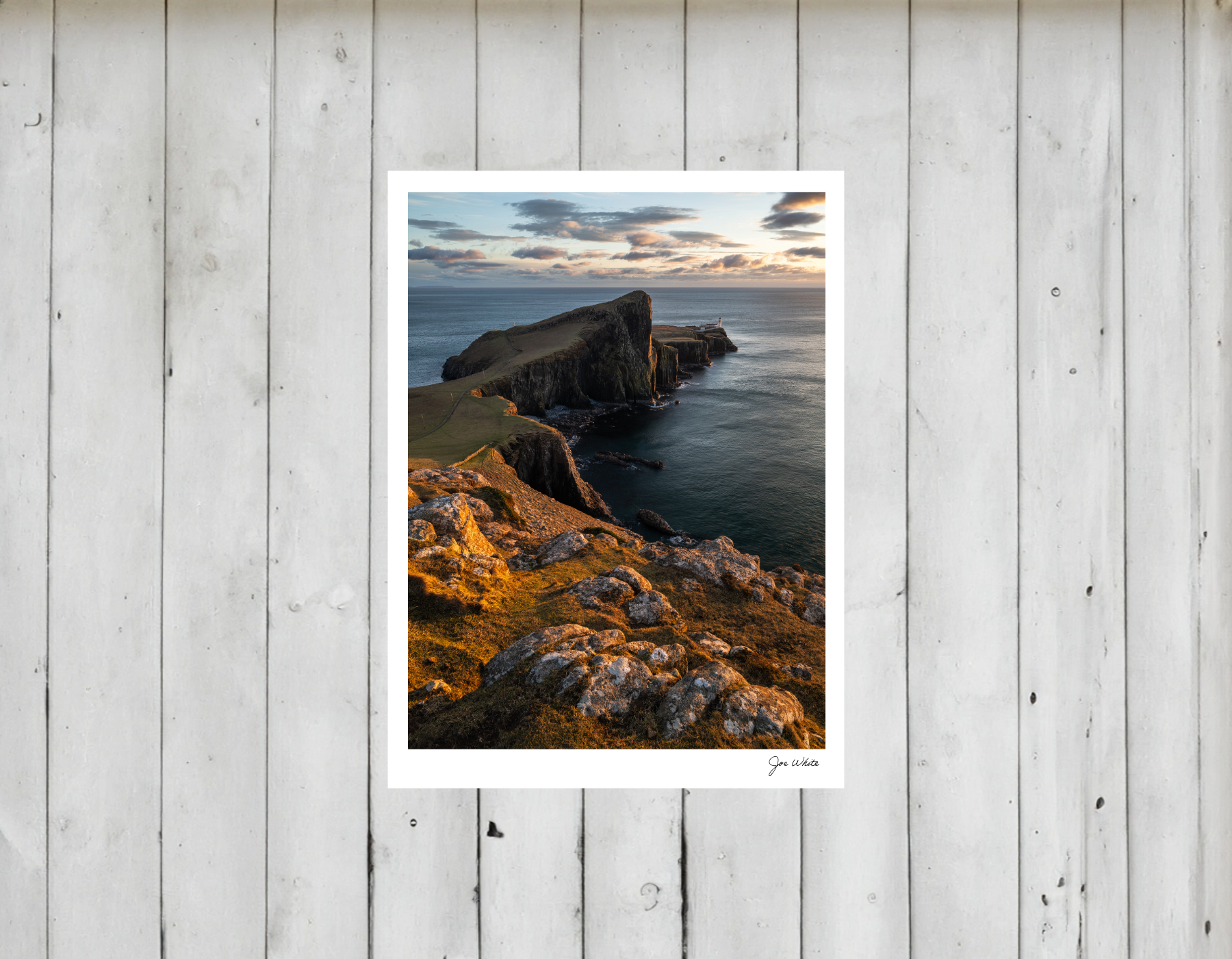 Print Only 3 x 4 (5).png