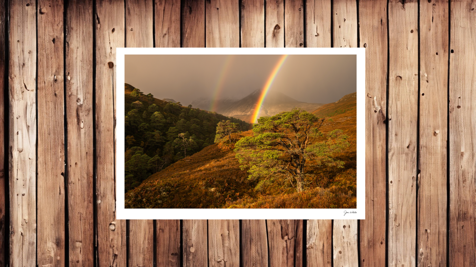 No Frame 4 x 6 (12).png