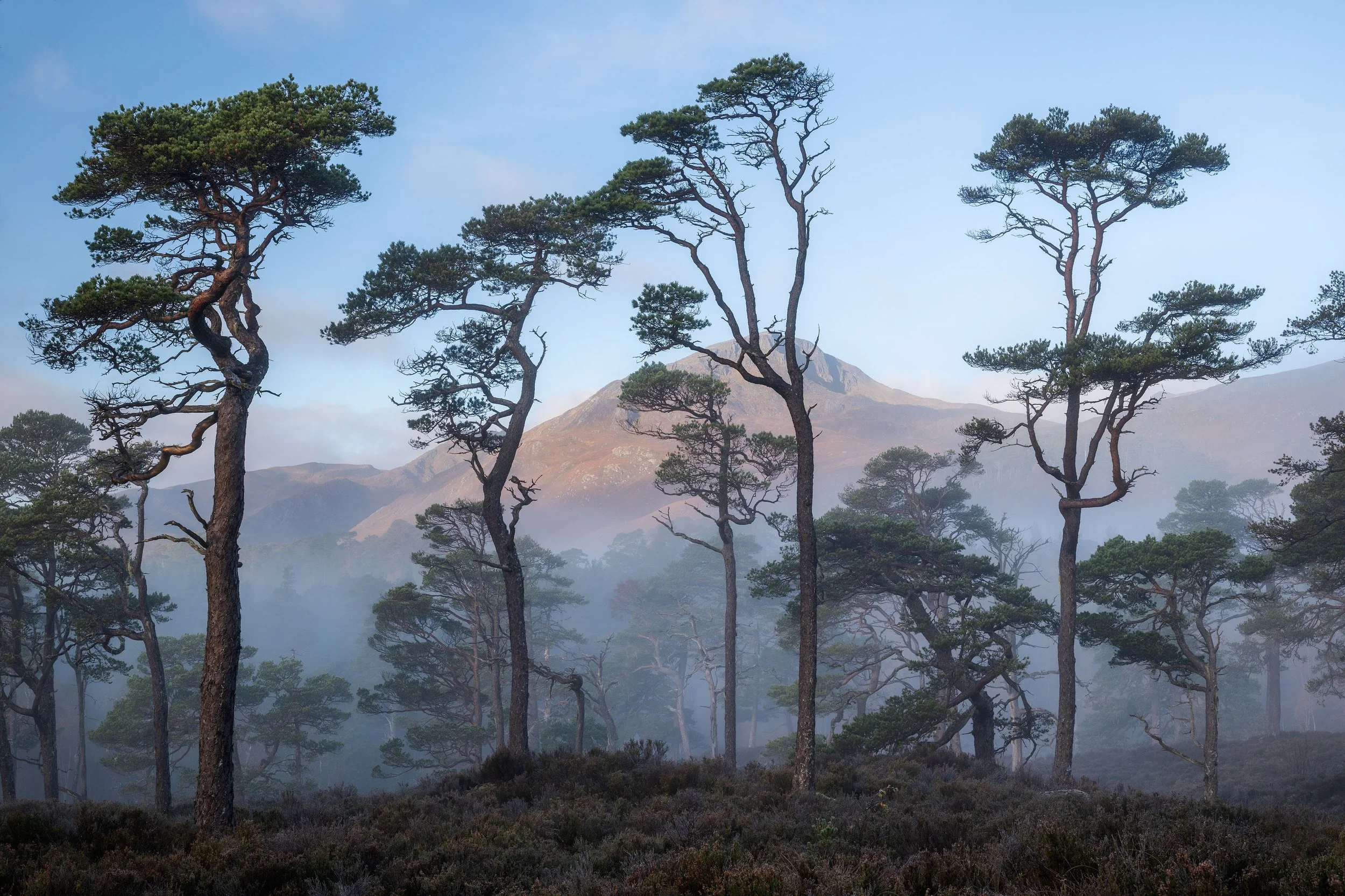 053 Glen Affric Dawn Jpg.jpg