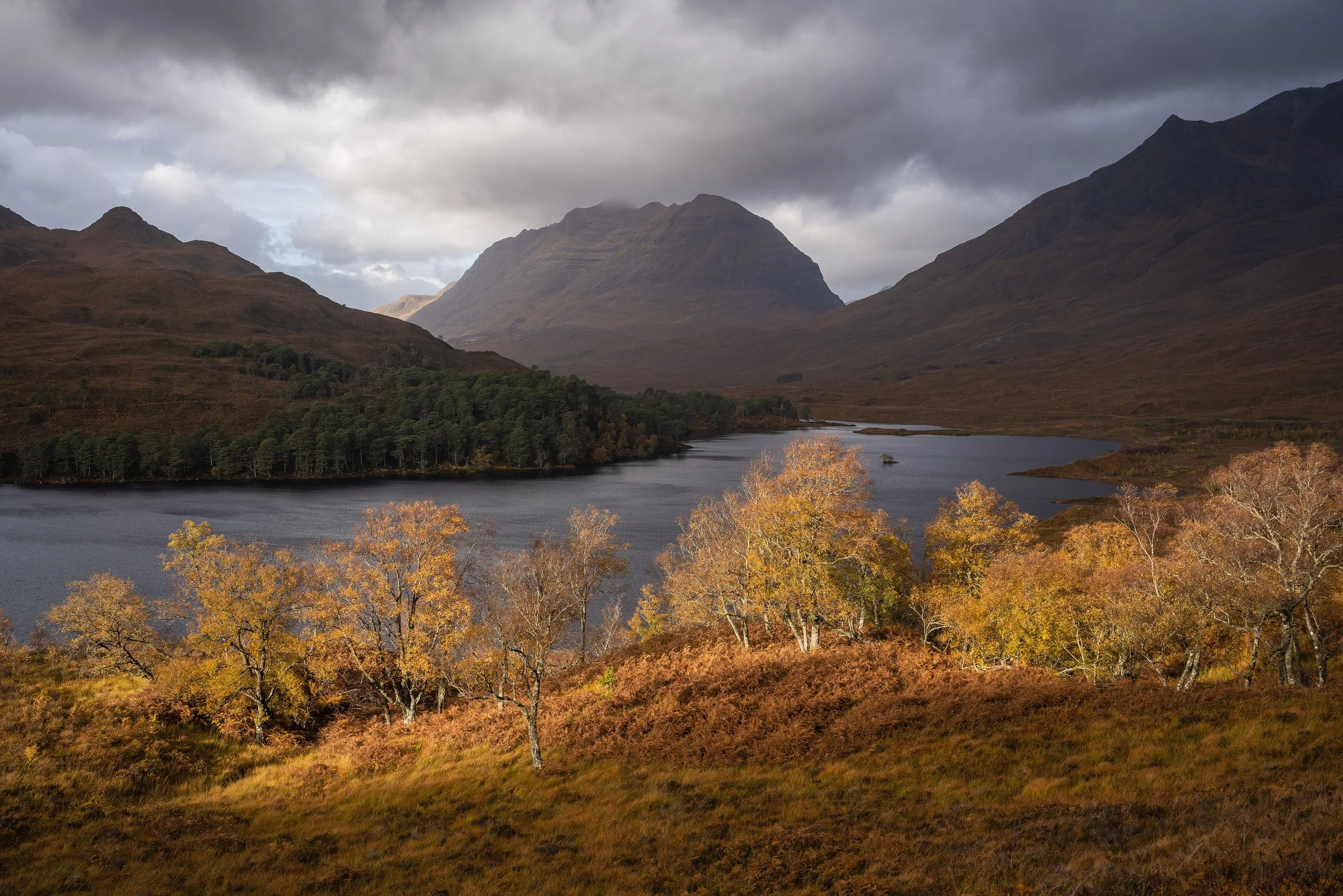 065 Fleeting AUtumn Light JPEG.jpg