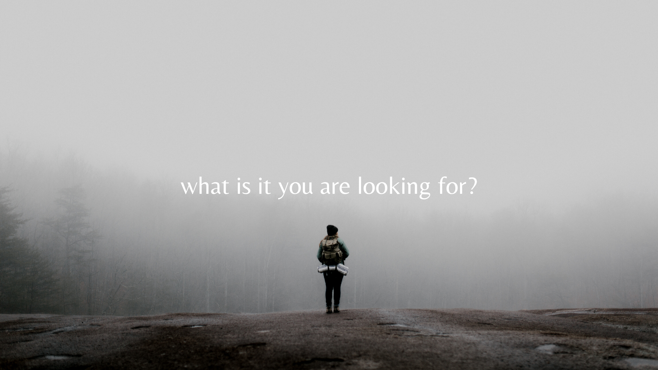what is it you are looking for?