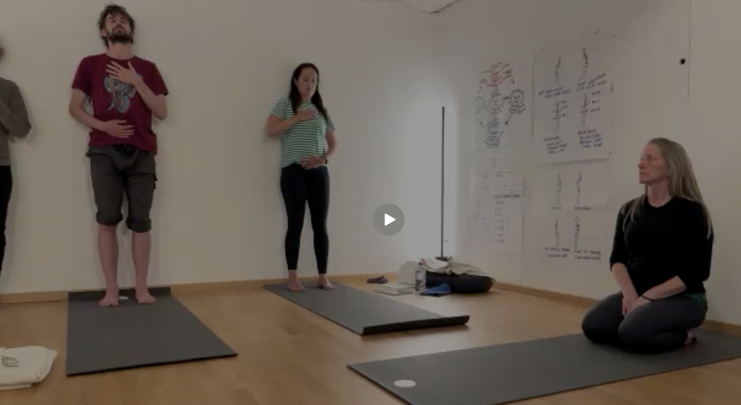 2026-27 Inner Yoga/Biomechanics Intensive 