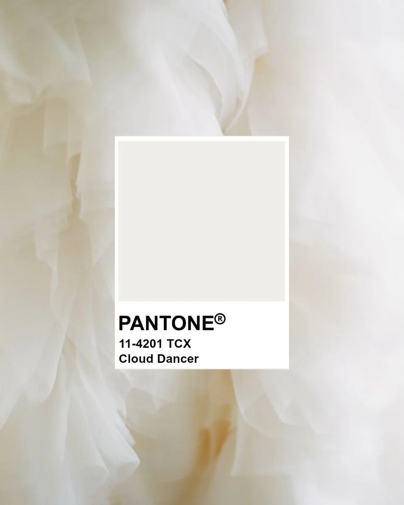 Unpopular Opinion: Pantone Got It Right.

New blog post live on the website. 

&ldquo;I know it&rsquo;s controversial, but I&rsquo;m absolutely one of those people who will die on the hill that white is a colour. And as someone who loves neutrals, he