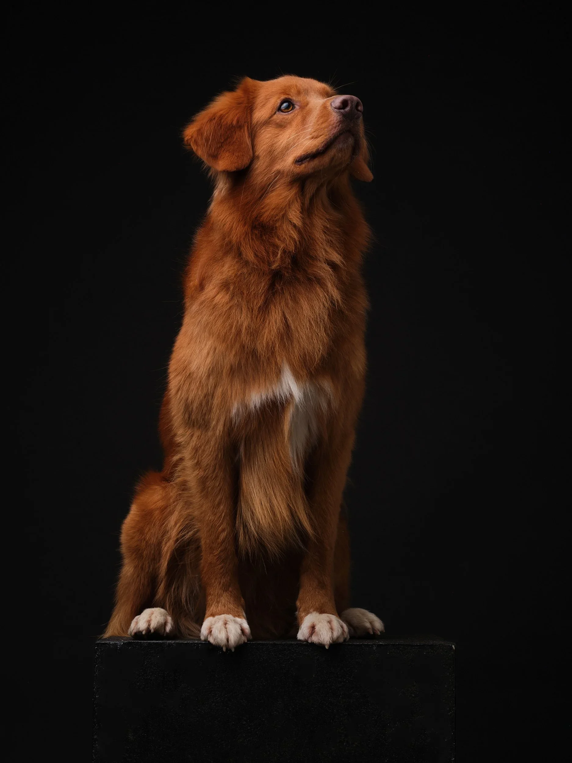 Soul05.webp