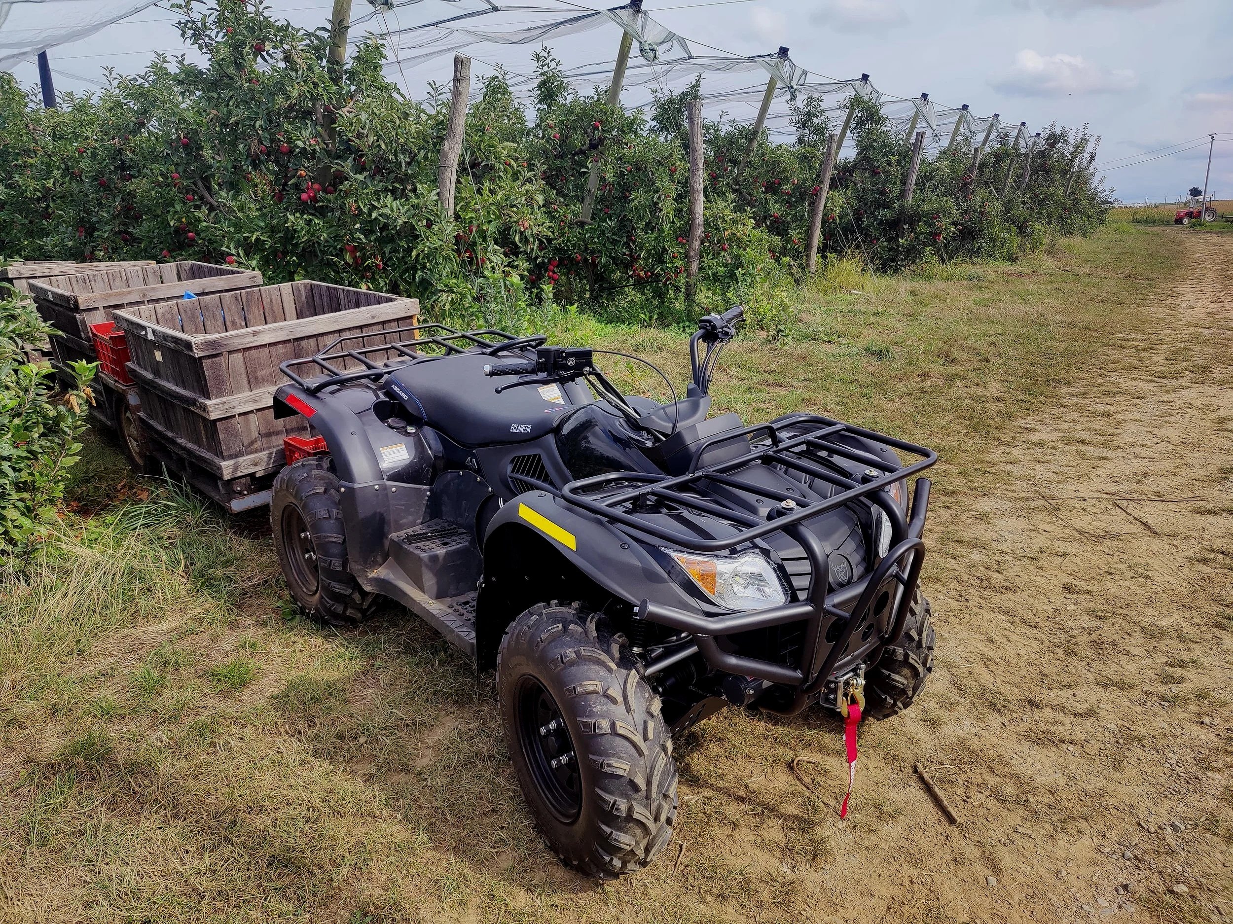 Un quad noir avec une benne en bois chargé de caisses, stationné sur un chemin de terre dans un champ de pommiers fleuris, avec un tracteur rouge au fond à droite.
