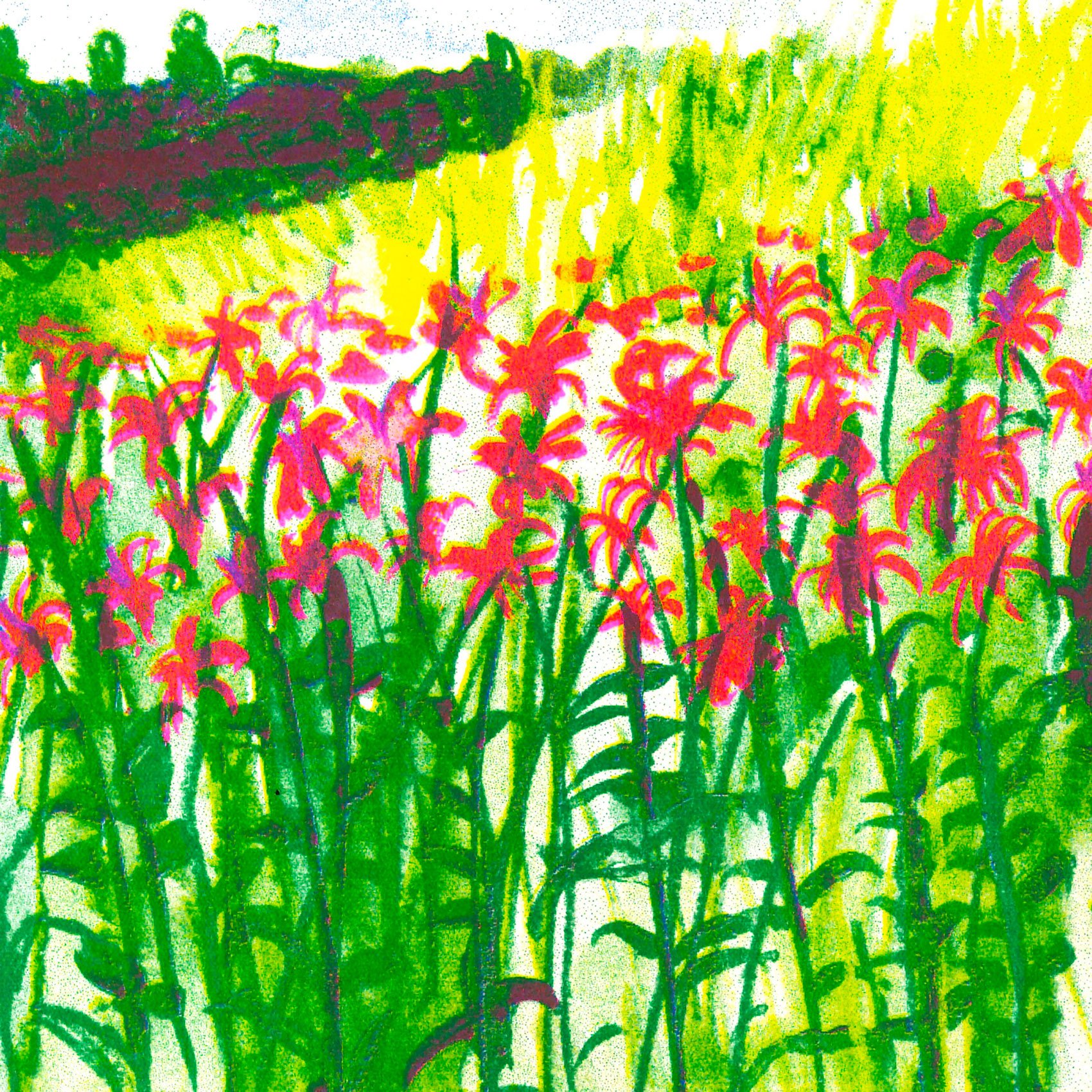 monarde-zoom-2.jpg
