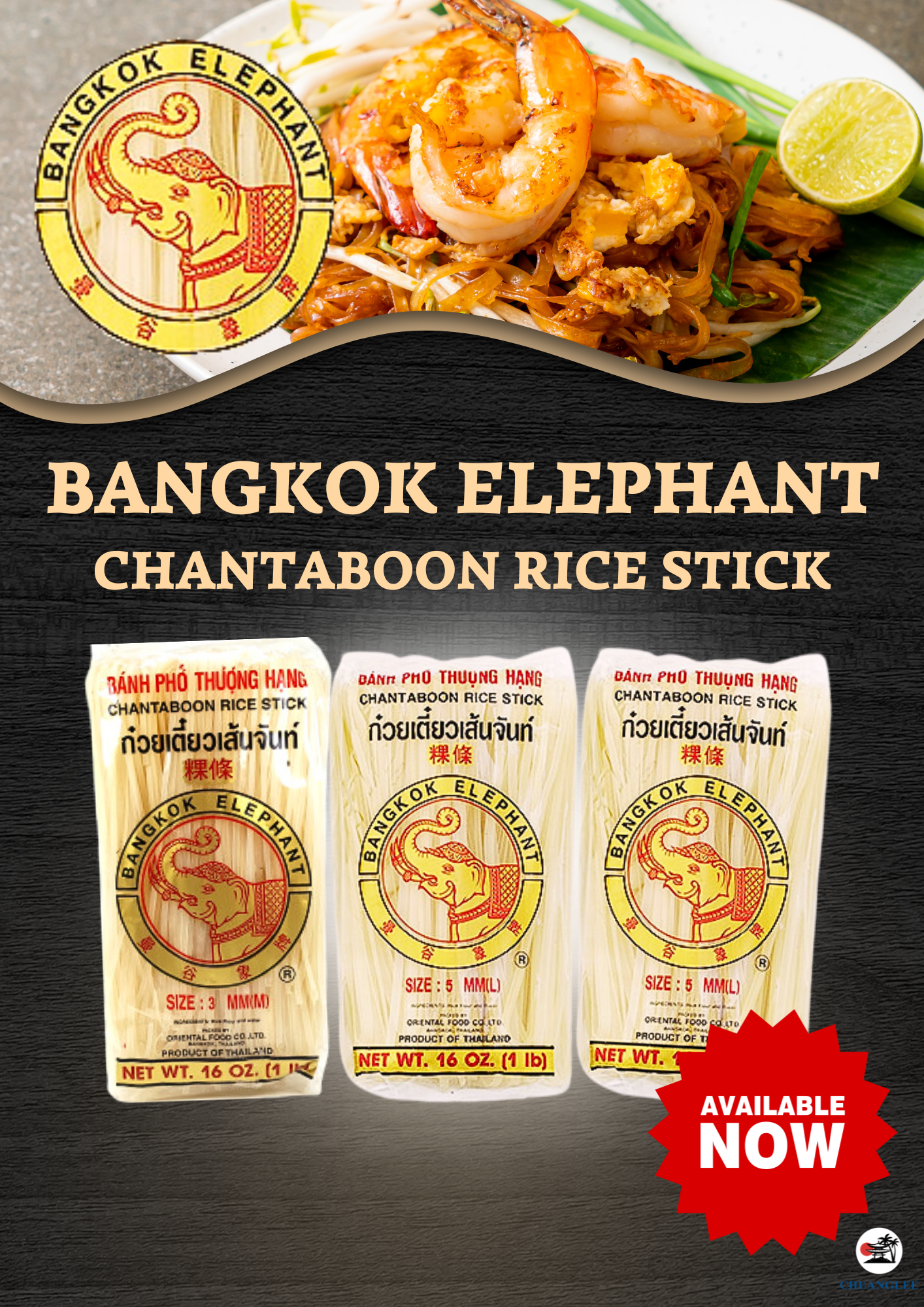 bangkok elephant (3).png