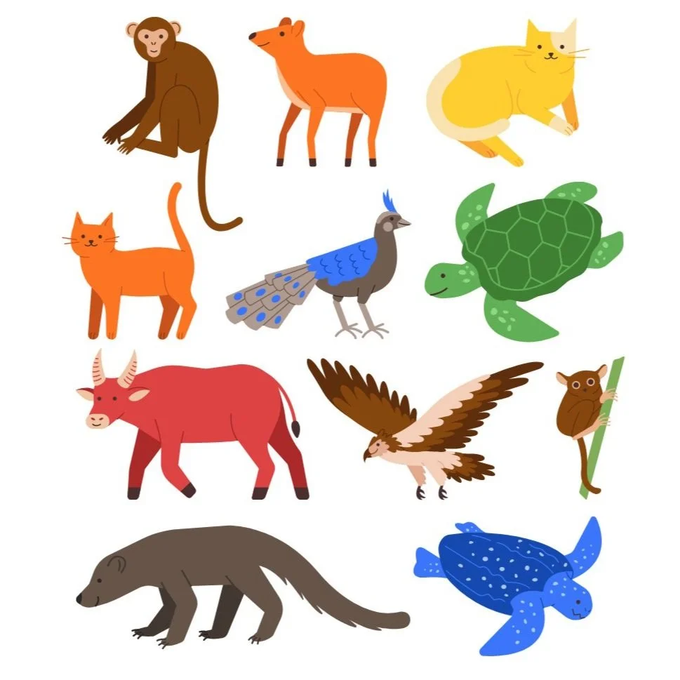 "Philippine Animals" — Canva — Illustrated Assets   Collection