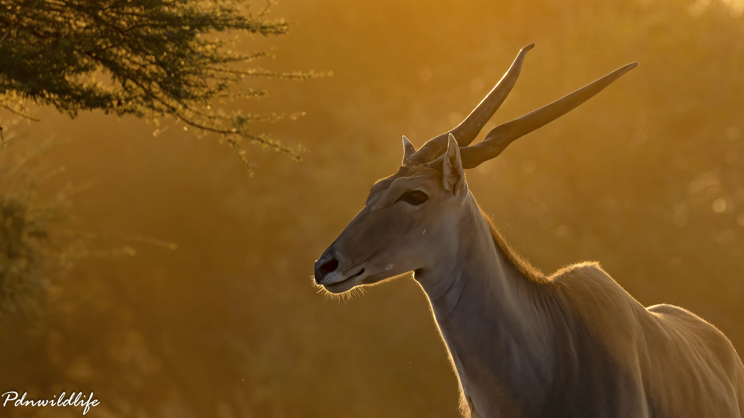 _06A7699-Edit.jpg