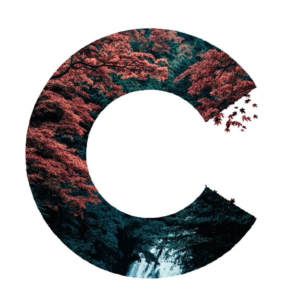 Vang
