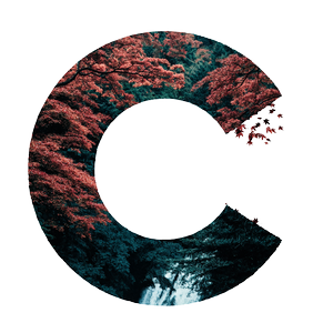 Creative Forest