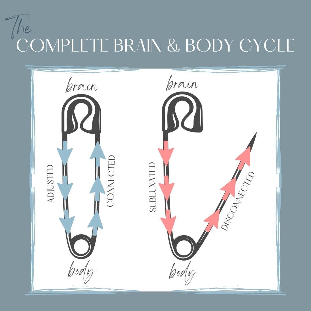 Your body is made up of an extremely complicated network of wires known as your nervous system. This system has two components: your central nervous system - your brain and spinal cord - which is housed in your spine; and your peripheral nervous syst