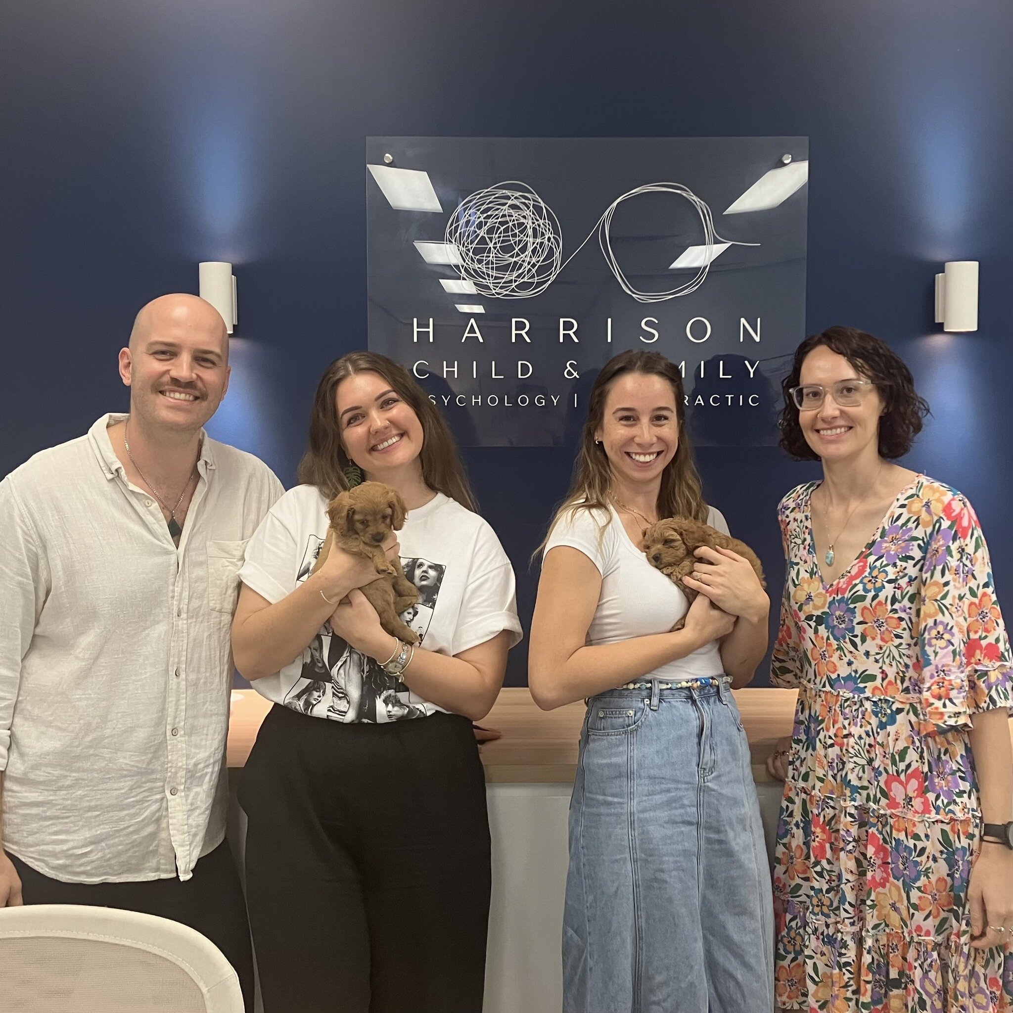 Even though we love the work that we do with our human clients, we definitely love getting to meet little fluffy visitors! Thank you @holistichealingwellbeing for visiting us yesterday with the most adorable 5 week old cavoodles, we're in love!