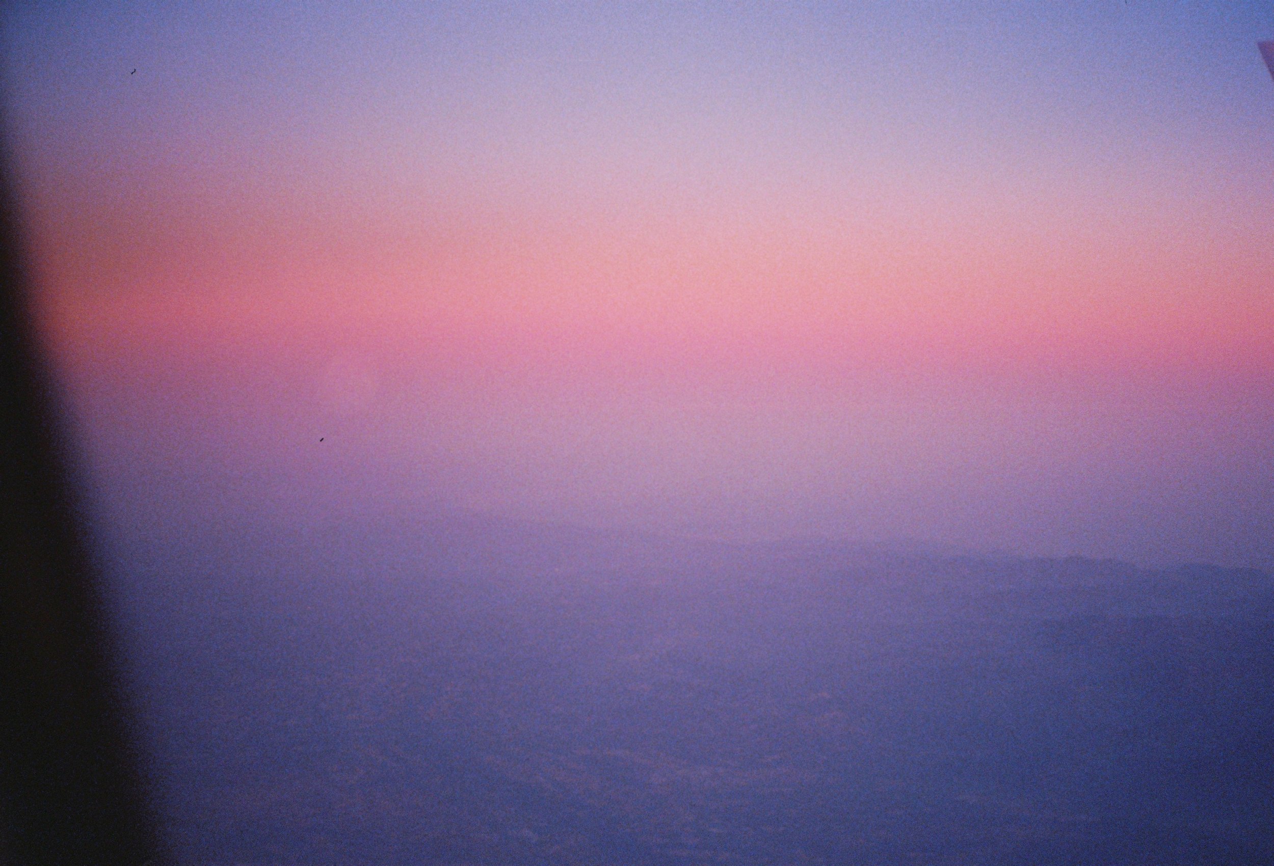 8470021.JPG