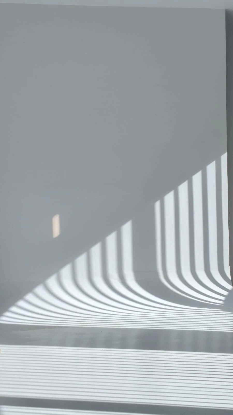 WhatsApp Image 2025-10-24 at 1.45.51 PM (1).jpeg