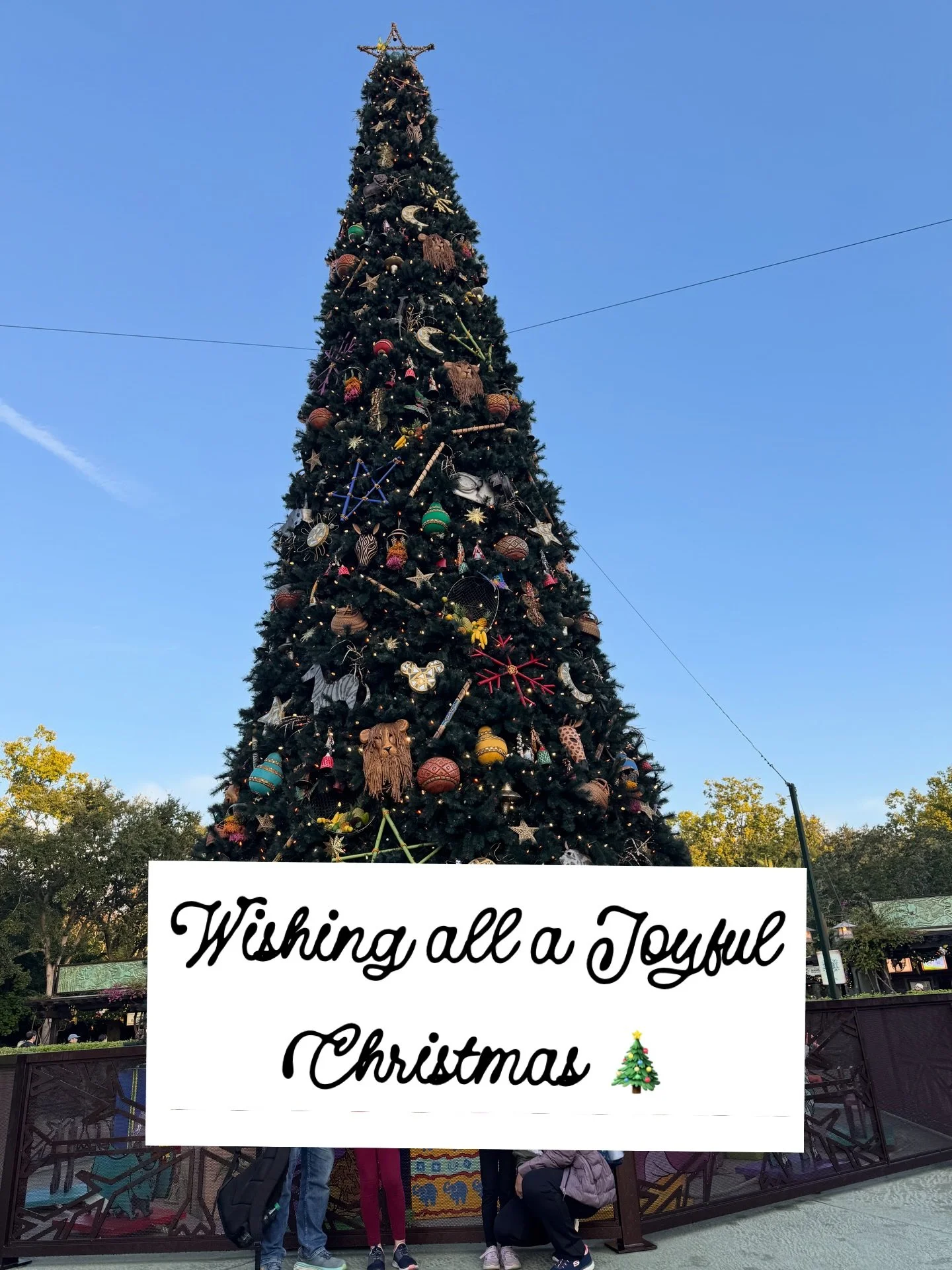 Wishing everyone a Very Merry Christmas 🎄 

✨ May the Holidays be Joyful and Bright and filled with Fun and Laughter ✨