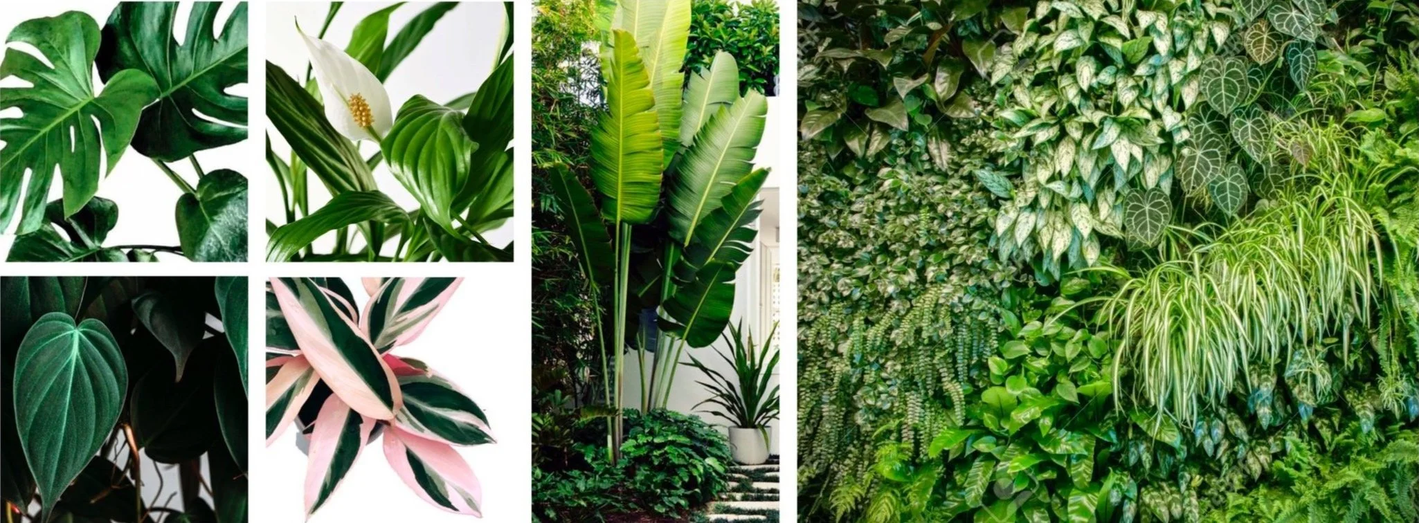 Moodboard of the greenery.