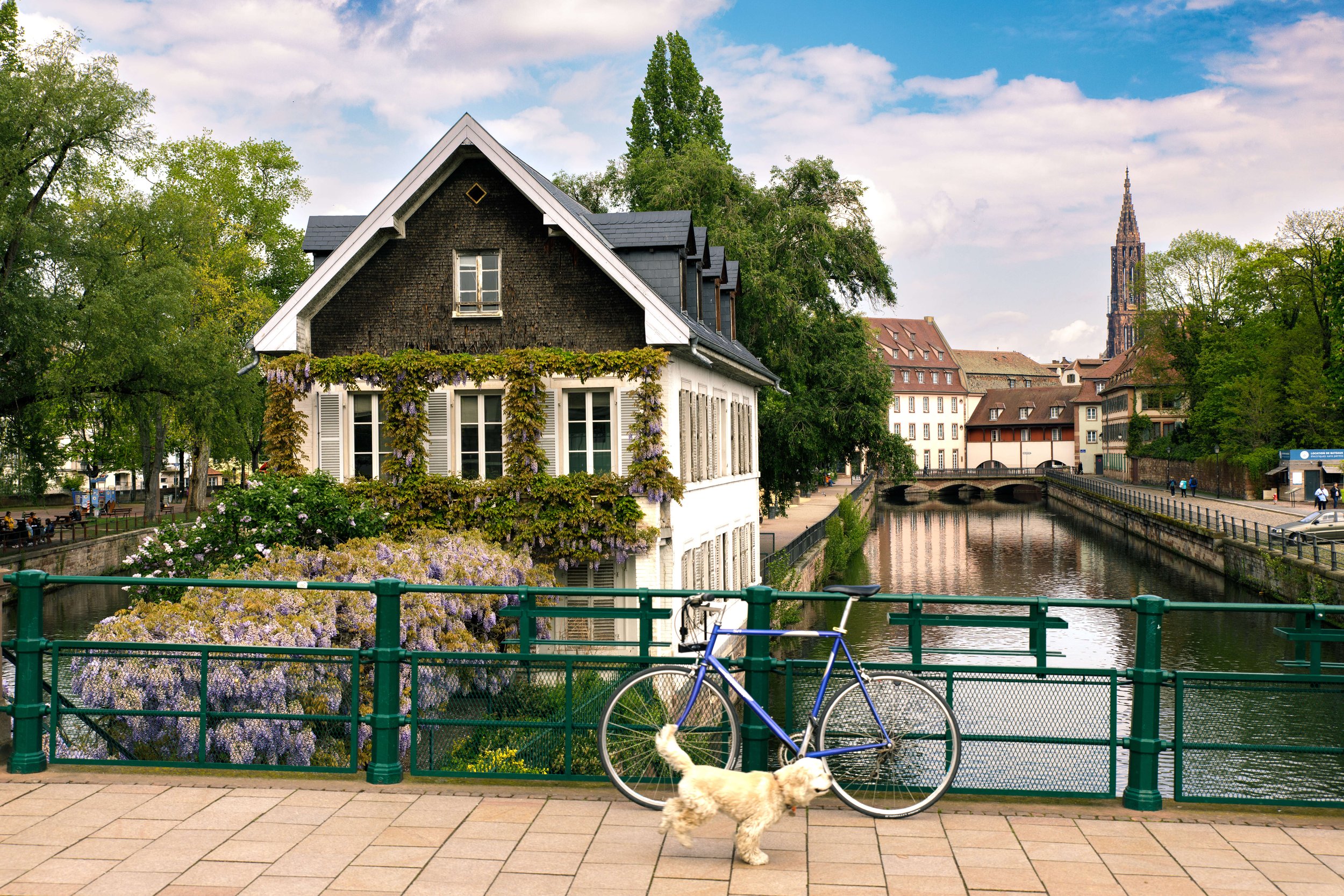 Strasbourg - Maison fleurie Petite France