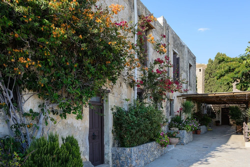 Moni Preveli Monk Cells