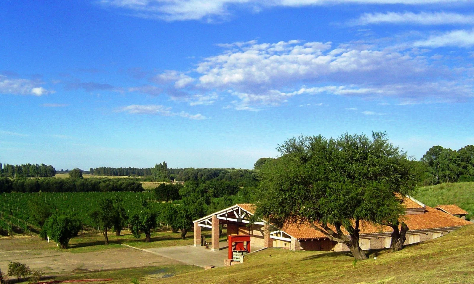 День 4-3 View_of_Al_Este_Bodega_y_Vinedos.jpg