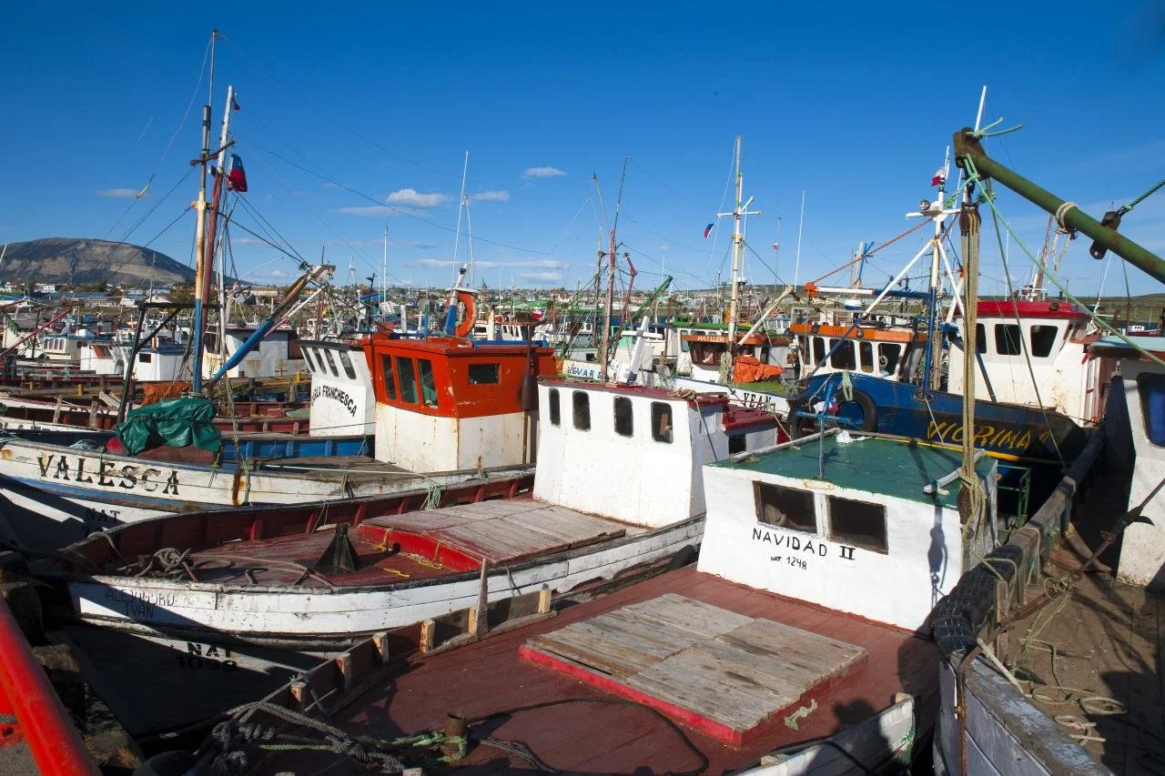 День 11-4 Puerto_Natales_Chile.jpg