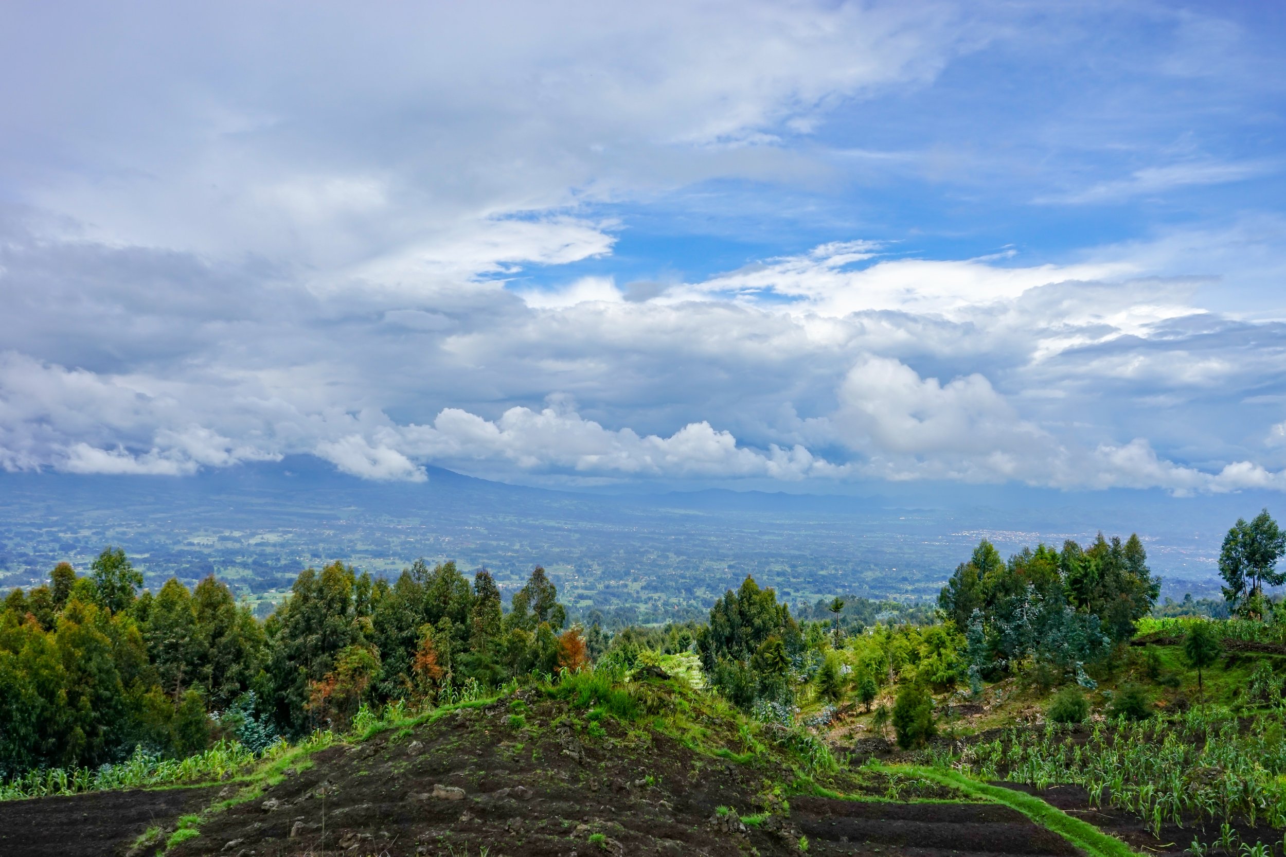 День 2 Volcanoes_Ruanda_(44500627850).jpg