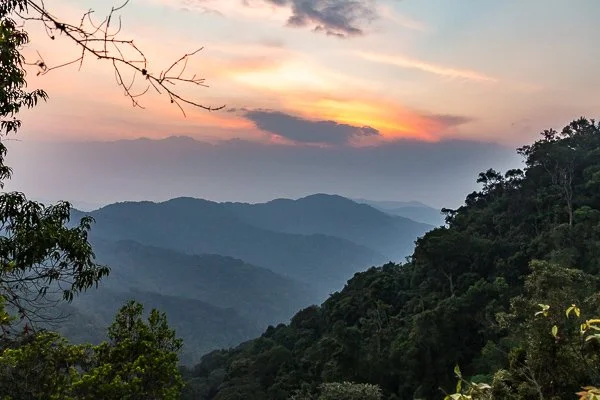 День 5 Sunset_over_Nyungwe_National_Park,_Rwanda.jpg