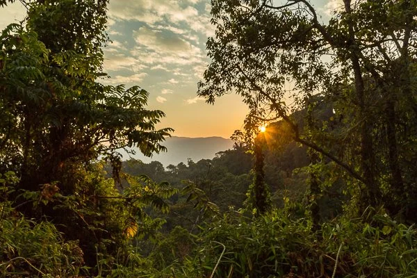 День 5 Sunrise_over_Nyungwe_National_Park,_Rwanda.jpg
